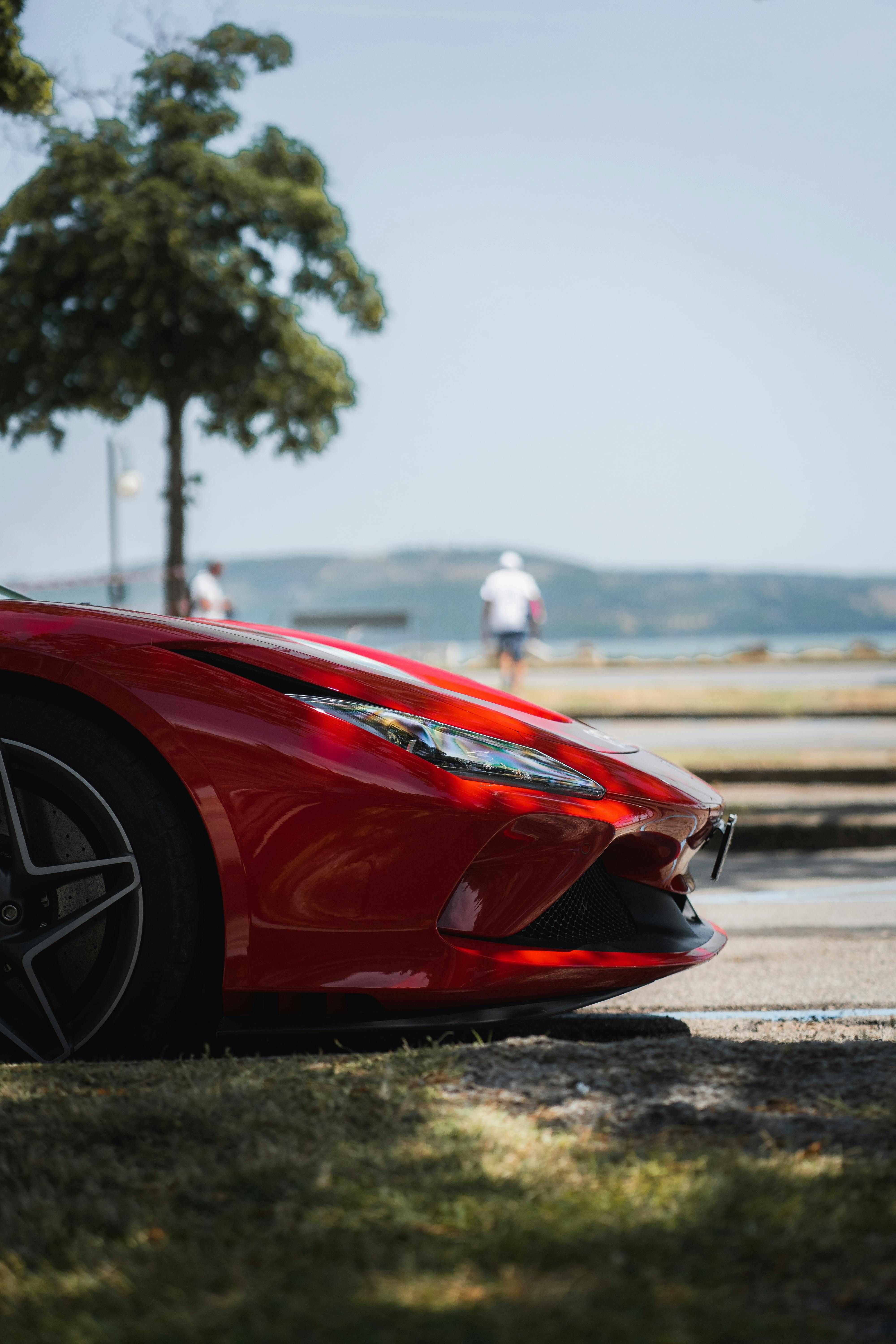 Close up of Ferrari with Tree behind