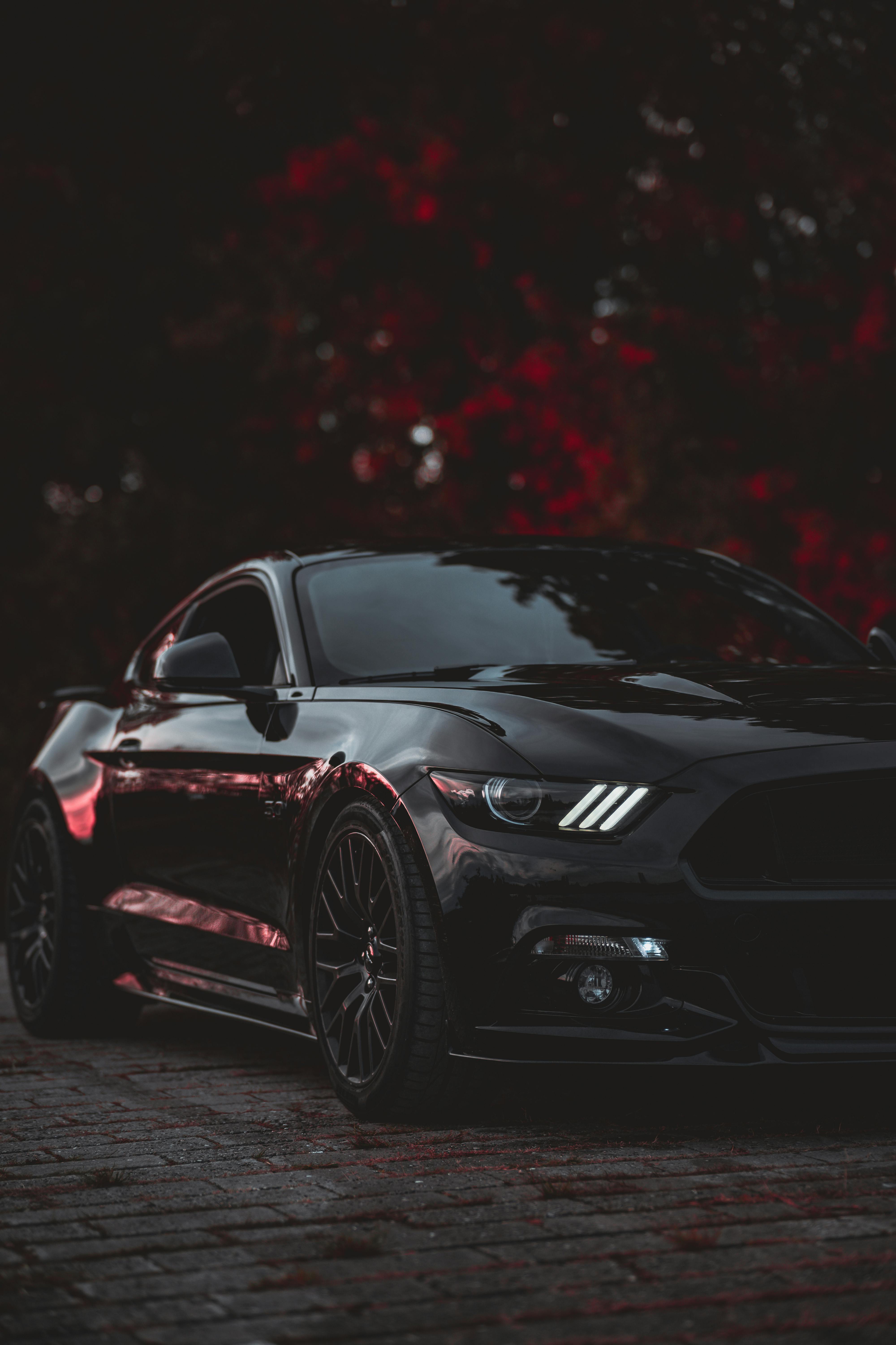 Ford Mustang · Free