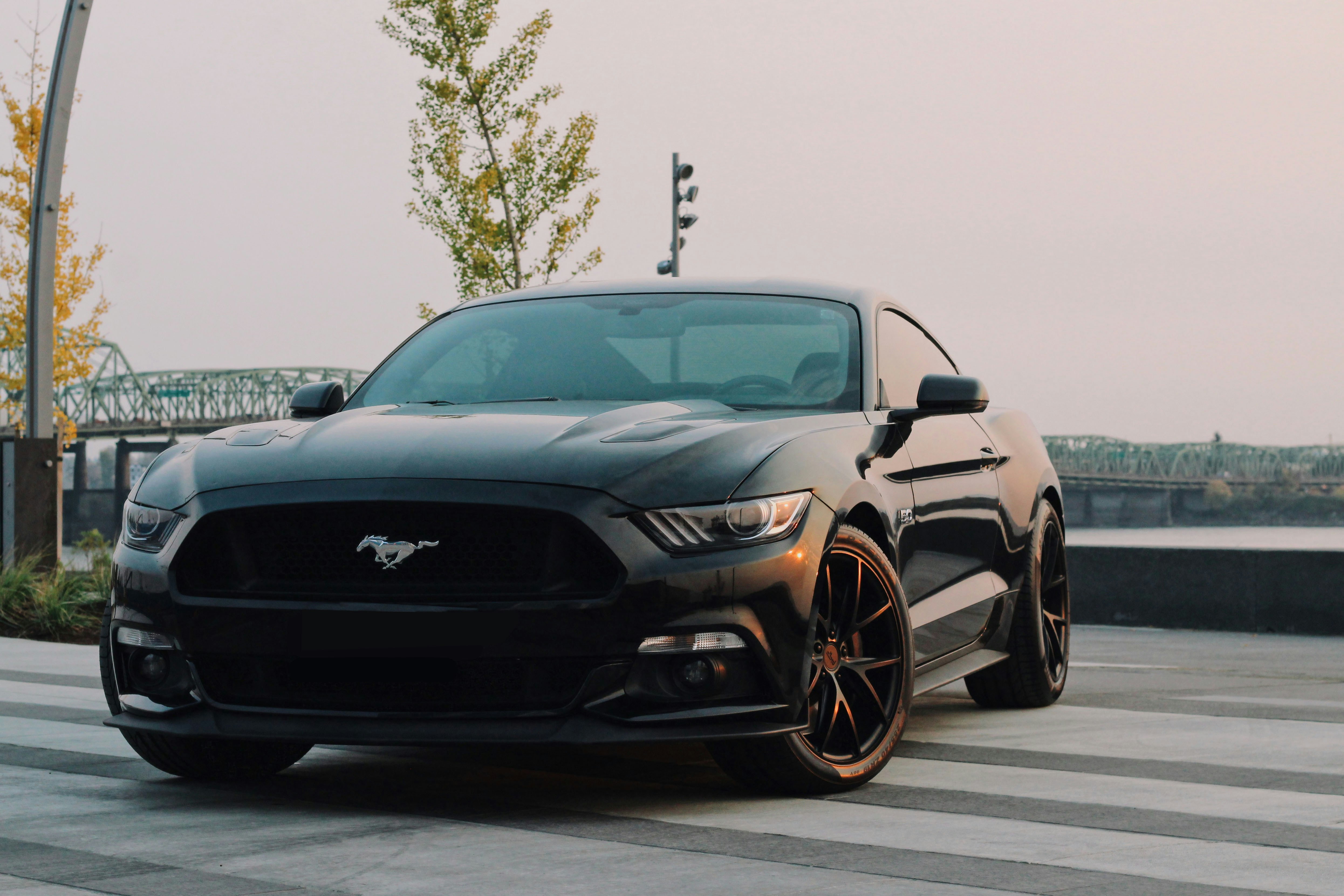 Mustang Wallpaper: Free HD Download