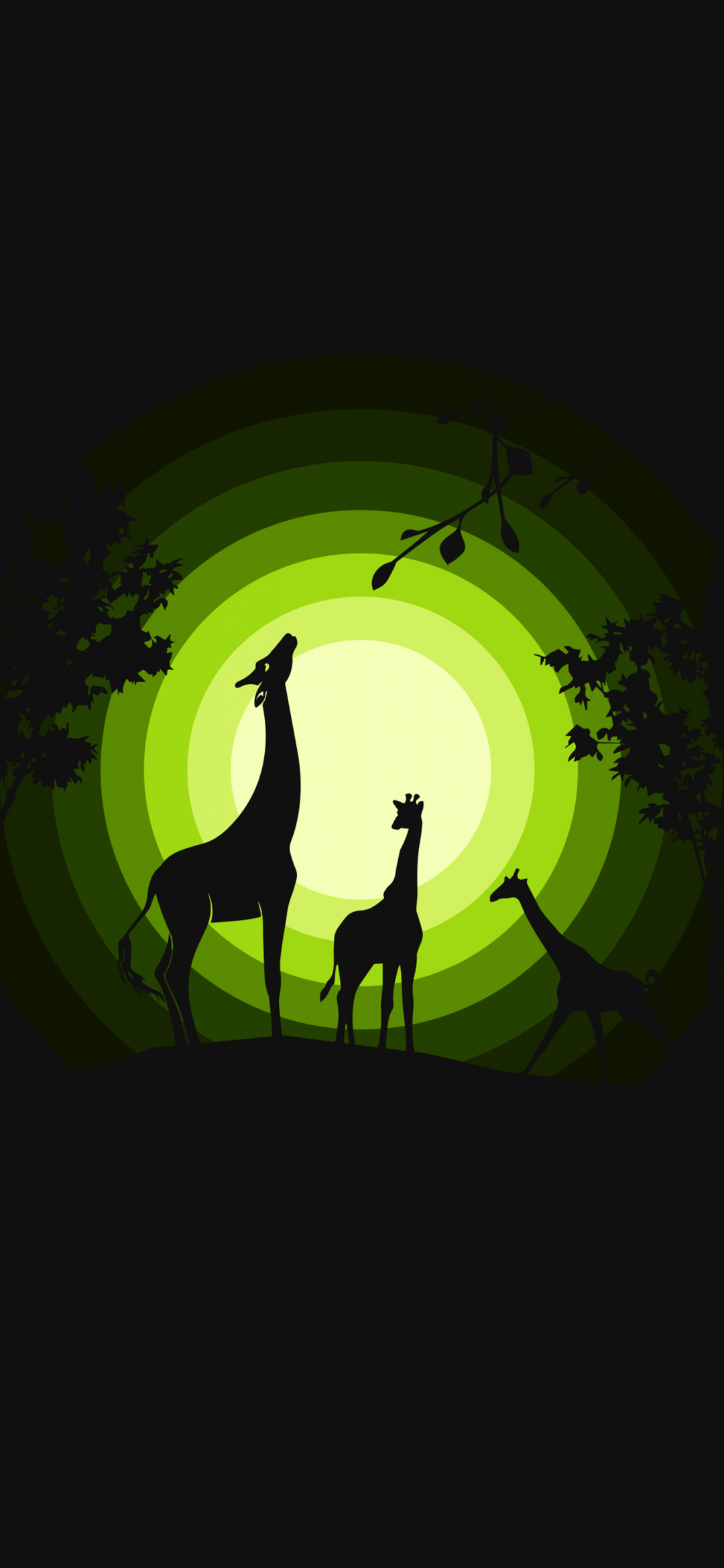 Giraffe Wallpaper 4K, cubs, Silhouette