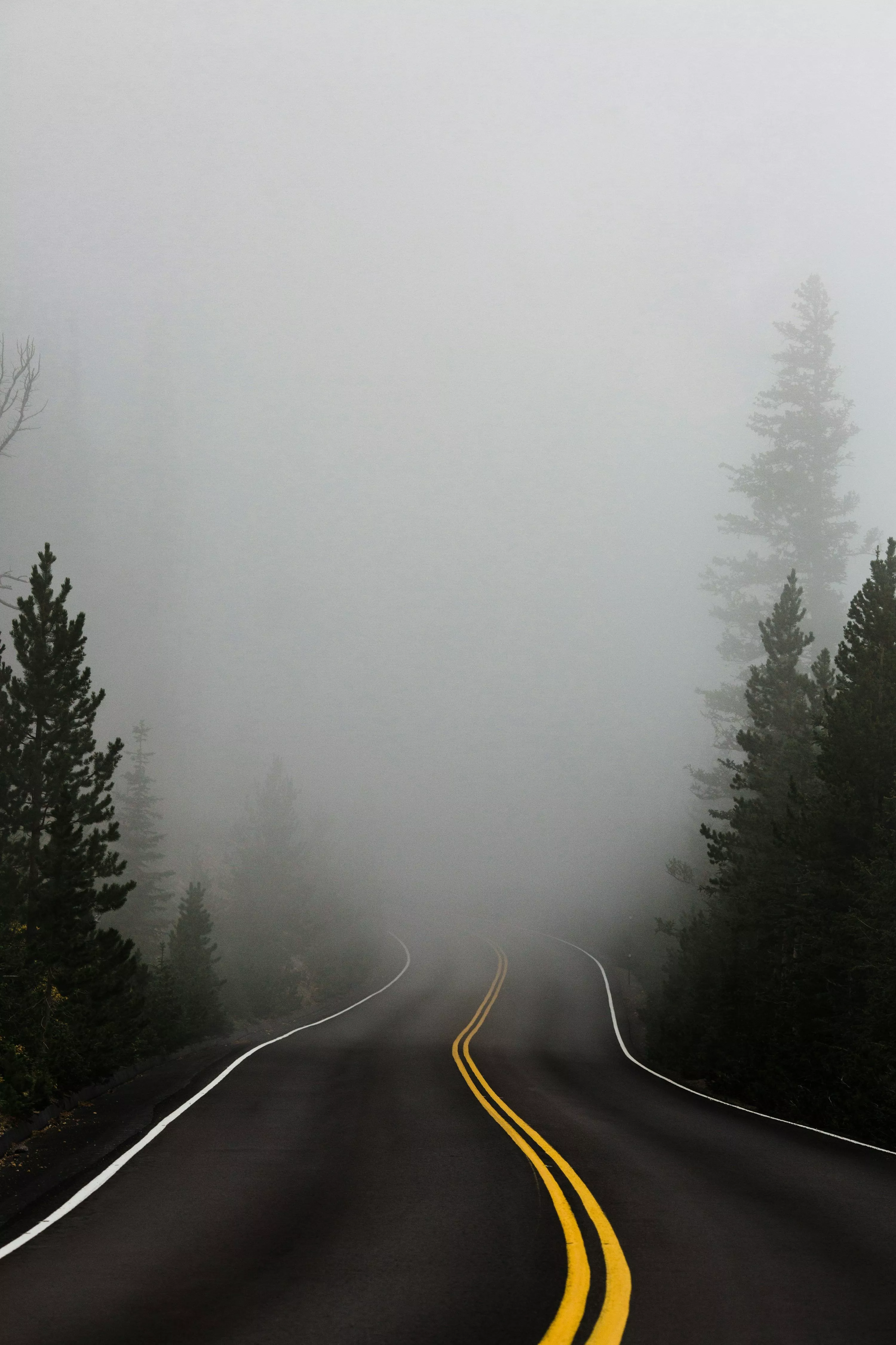 Fog Picture. Download Free