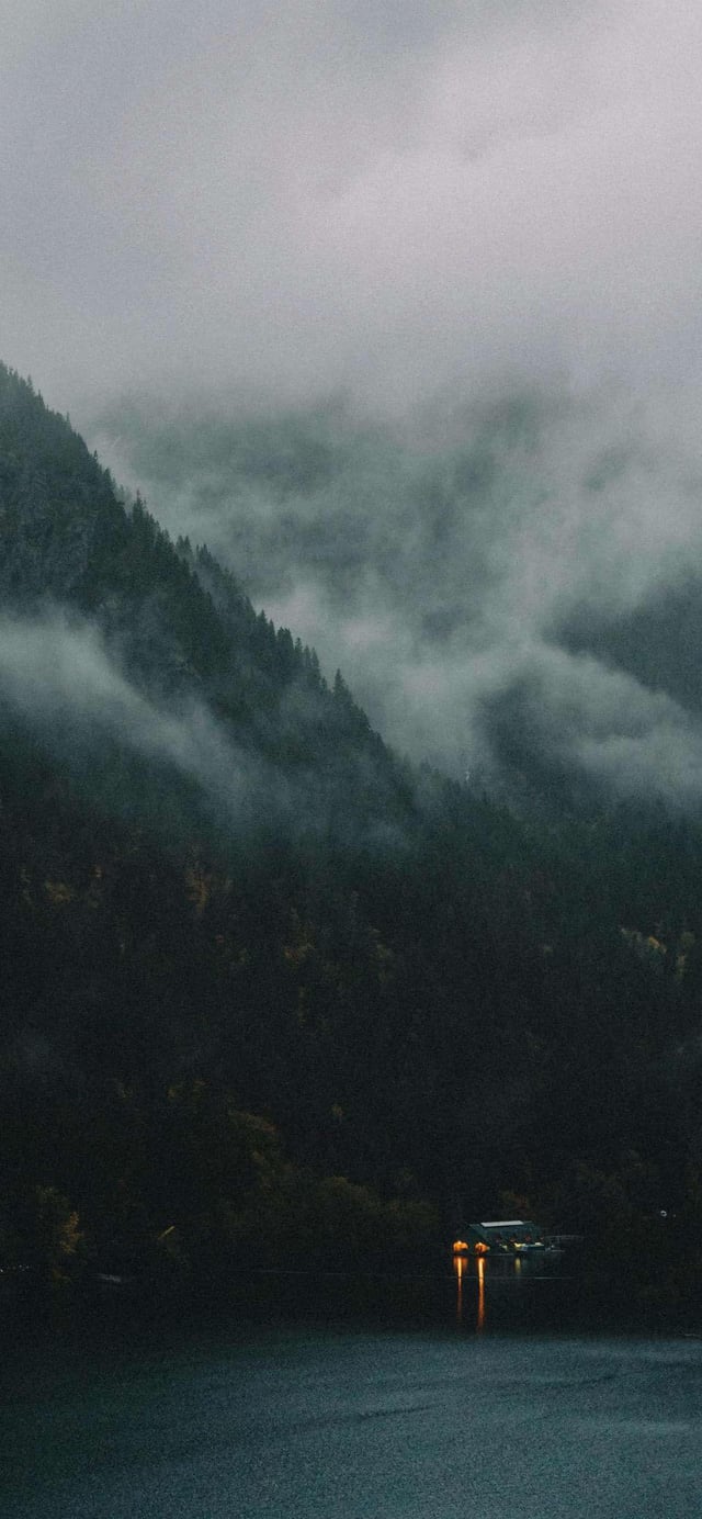 Foggy Autumn Wallpaper