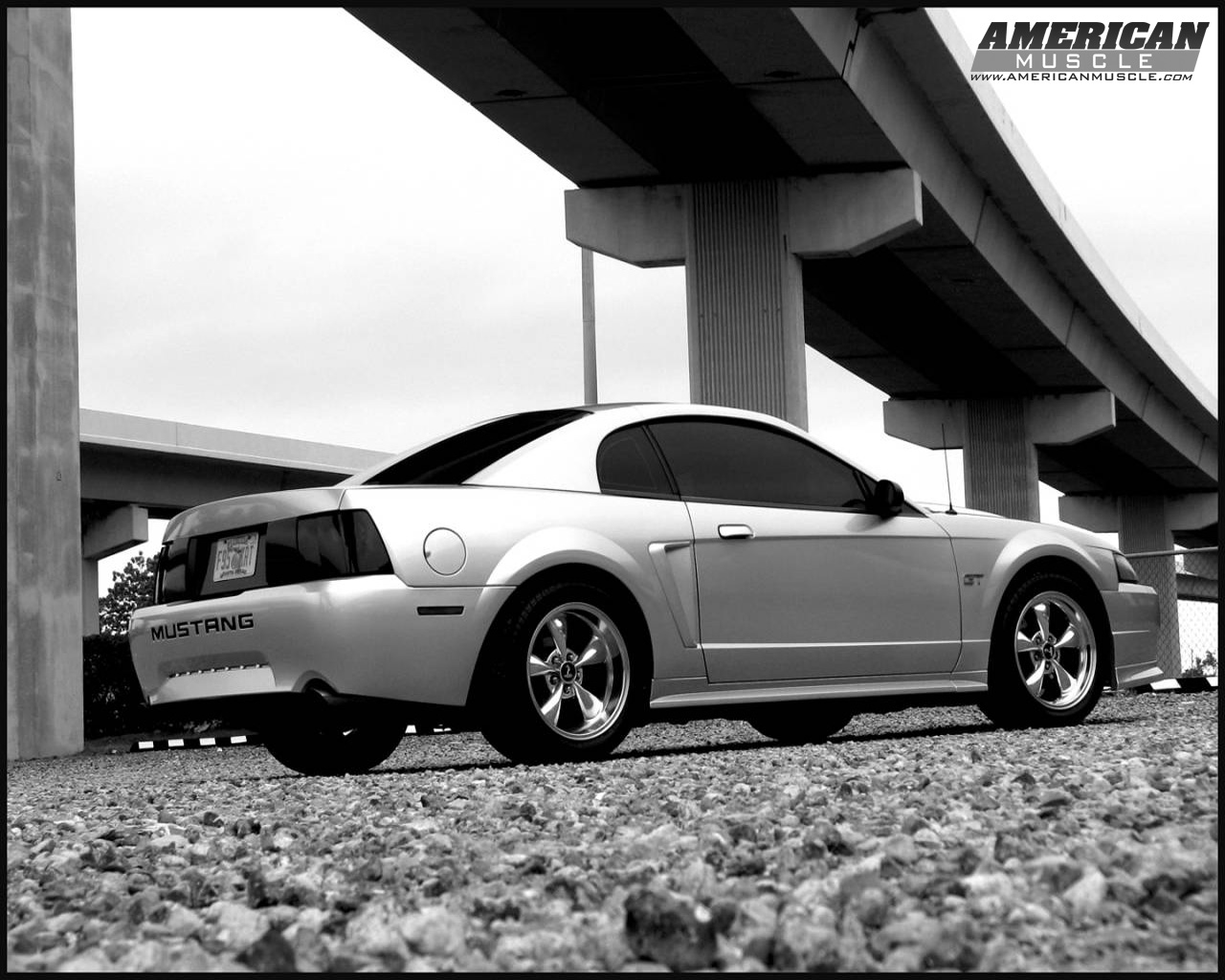 Ford Mustang Wallpaper & Mustang