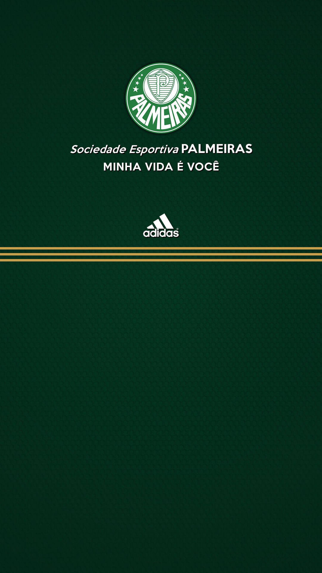 Download Palmeiras And Adidas Wallpaper