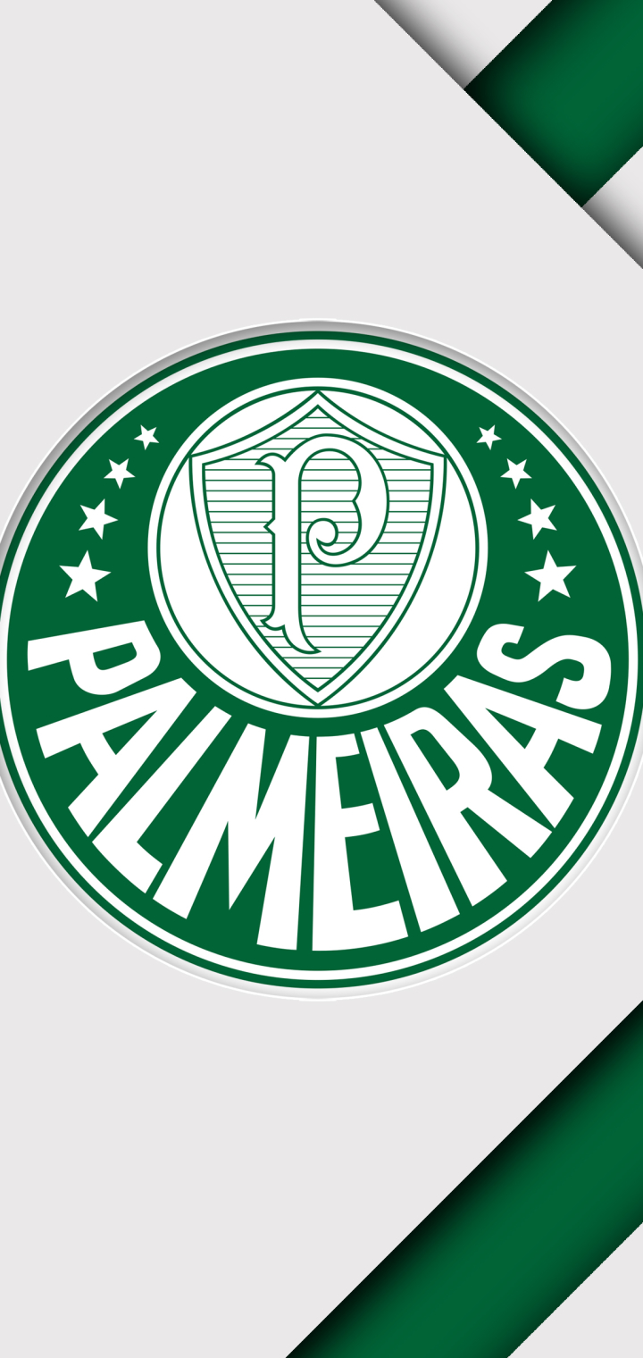 Sociedade Esportiva Palmeiras HD picture
