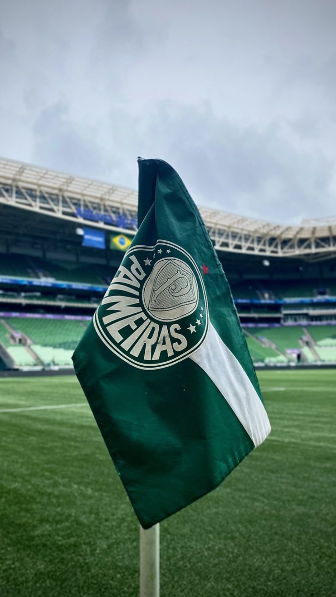 Palmeiras Wallpaper