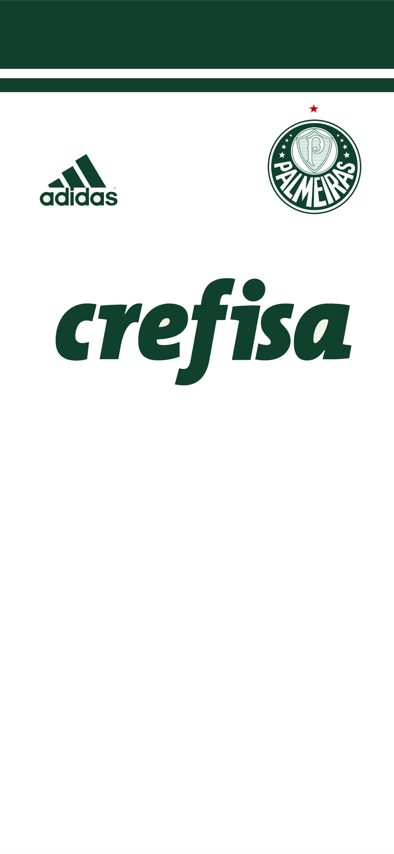 Best Palmeiras iPhone HD Wallpaper