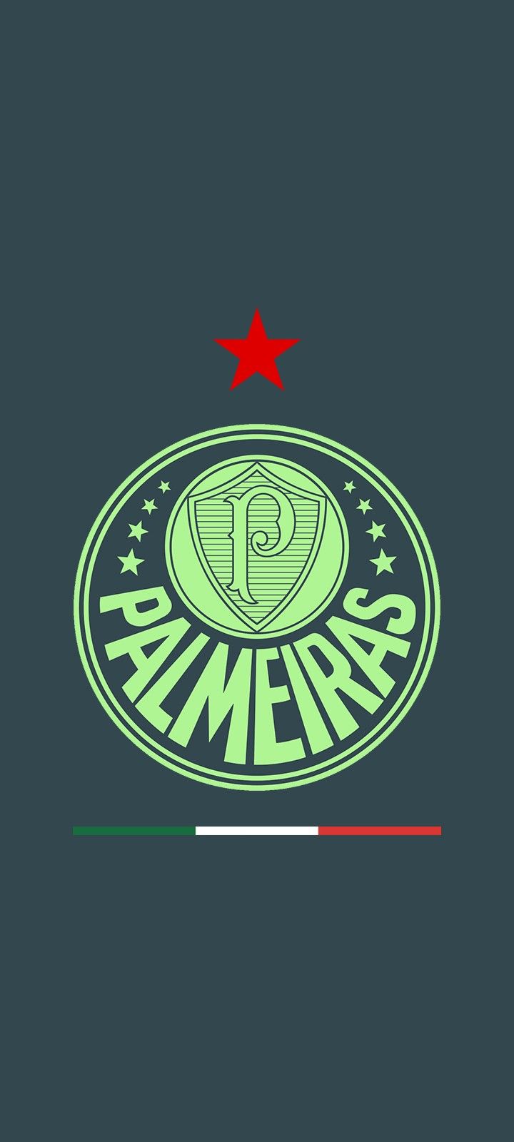 Palmeiras 3° camisa