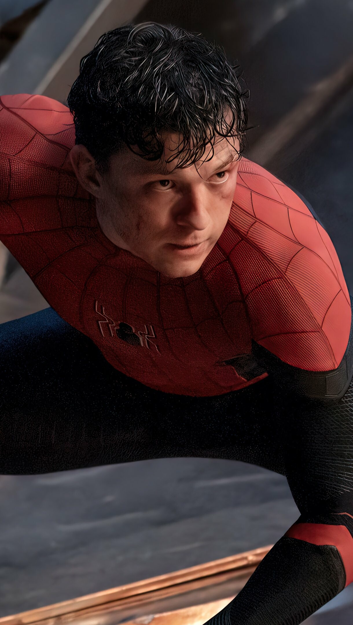 Tom Holland Wallpaper