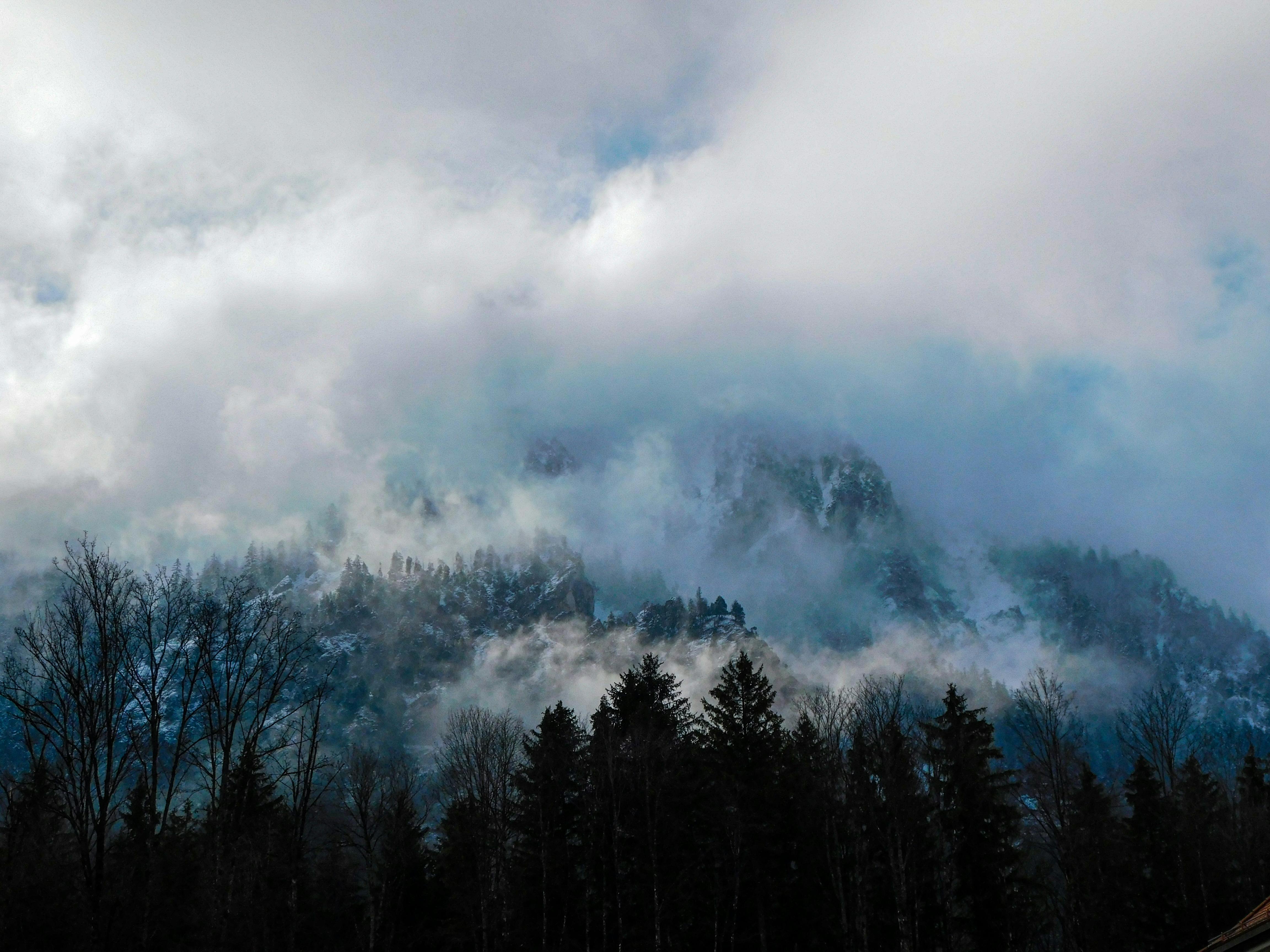 Foggy Winter Landscape · Free