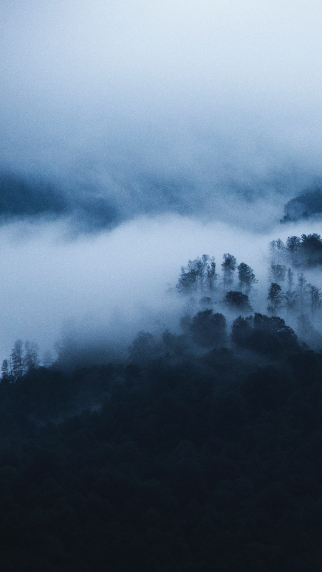 Fog iPhone Wallpaper