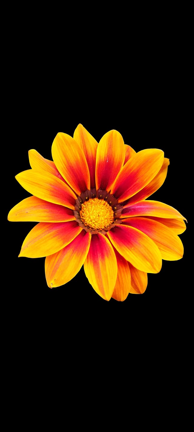 Made a few Amoled wallpaper from some