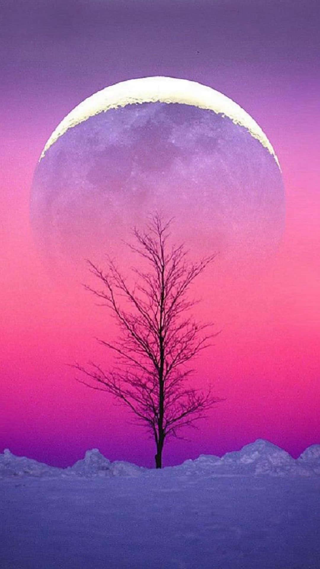 Aesthetically Captivating