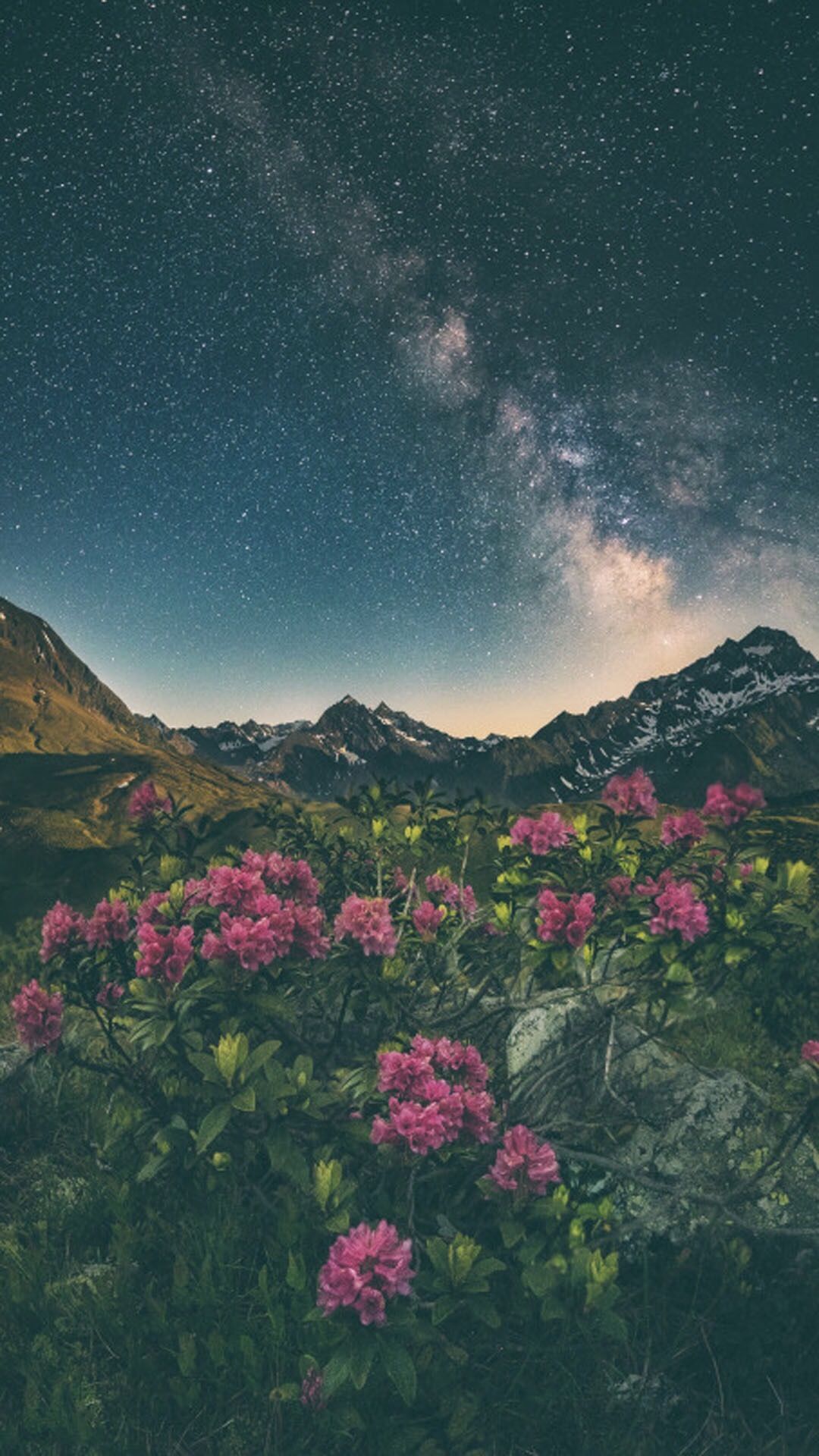 Nature Aesthetic Background Free Download