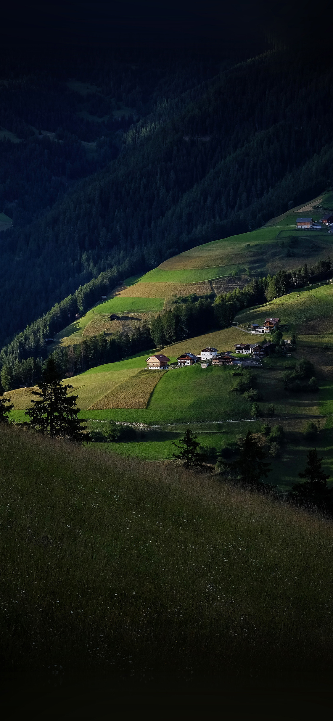 Hill Town Dark Nature Green Forest