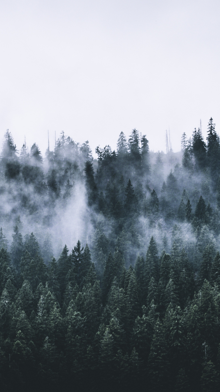 Download wallpaper 750x1334 green