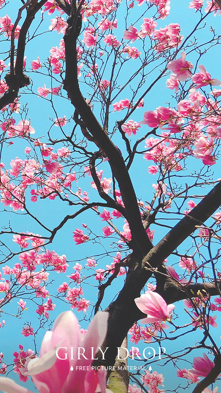 Stylish iPhone wallpaper iPhone