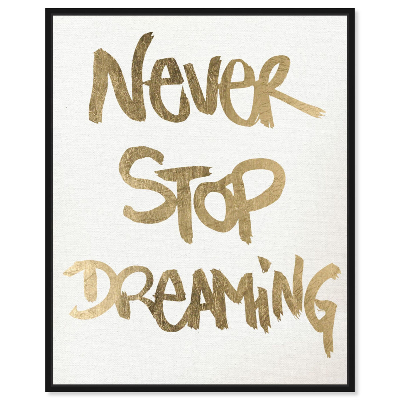 Never Stop Dreaming Snow. Typography
