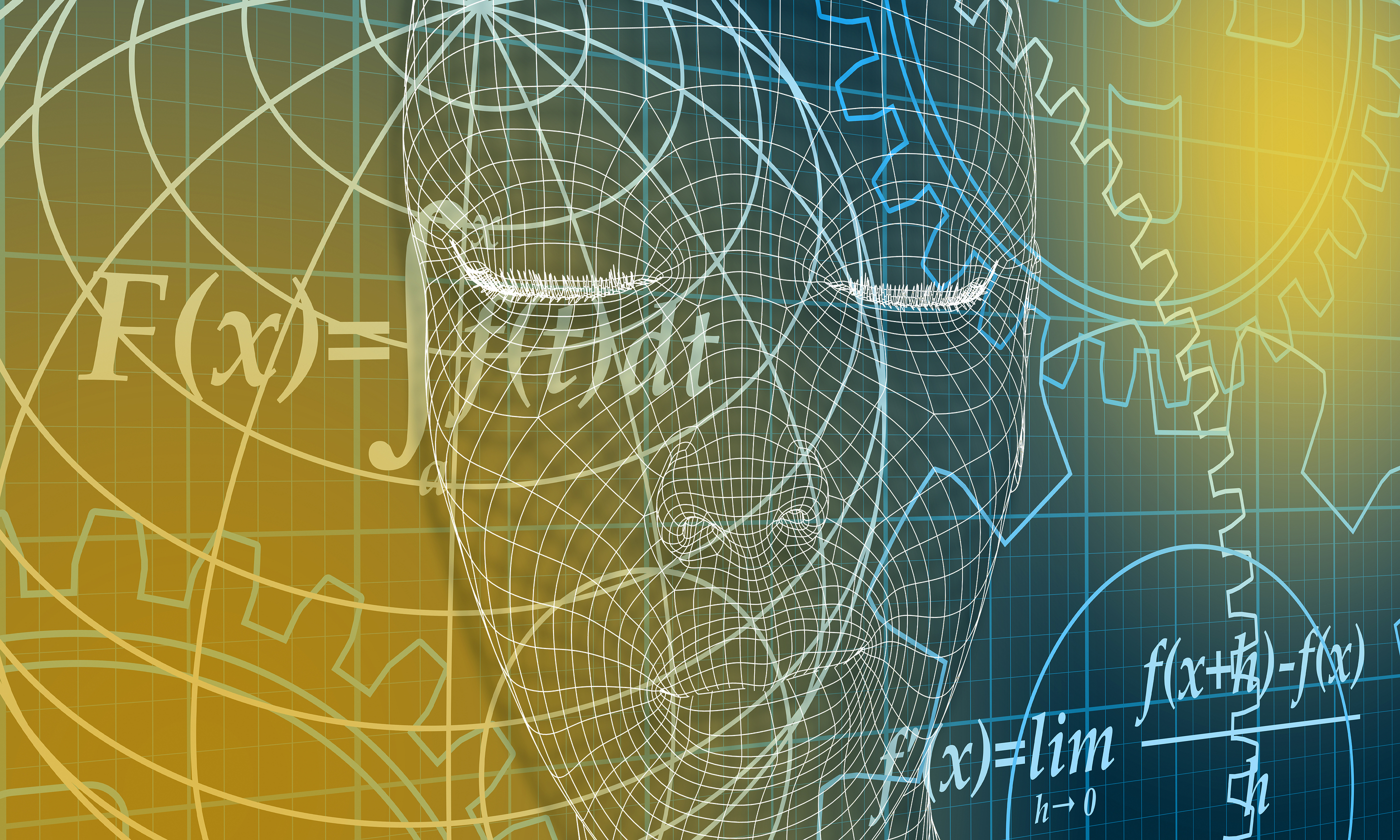 What is the Finite Element Method