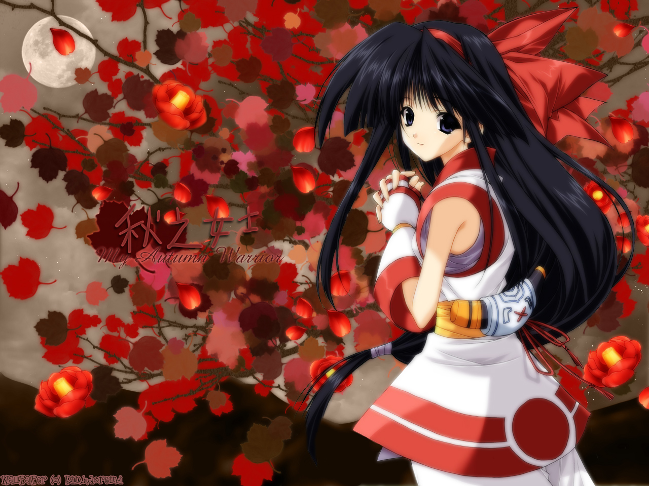 Nakoruru and Scan Gallery