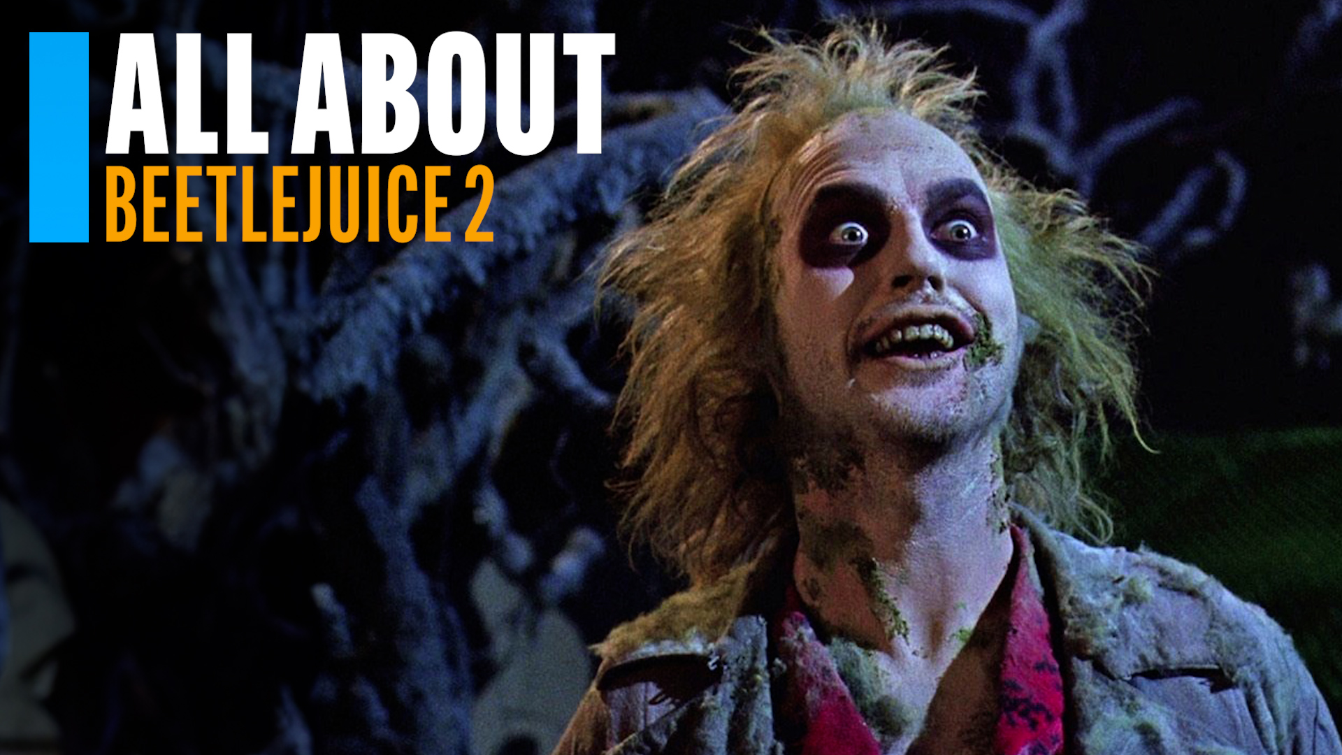 All About Beetlejuice 2 About