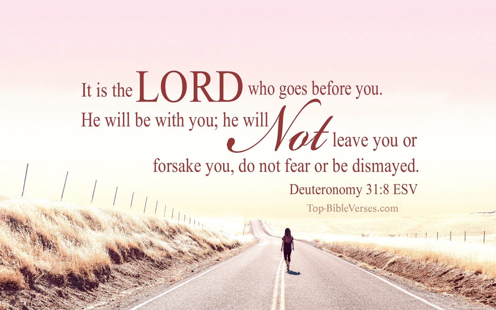 Inspirational Bible Quotes Image
