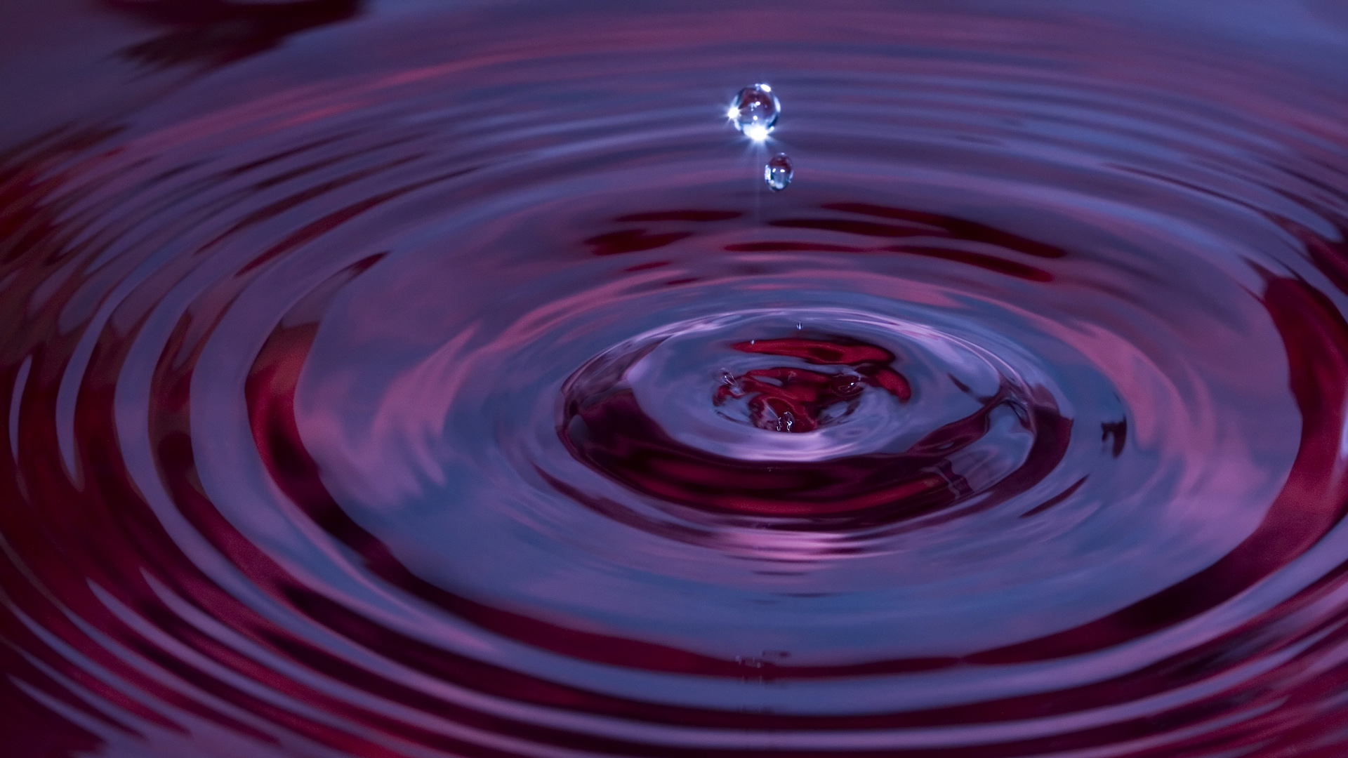 Serene Water Drop Nature HD Wallpaper