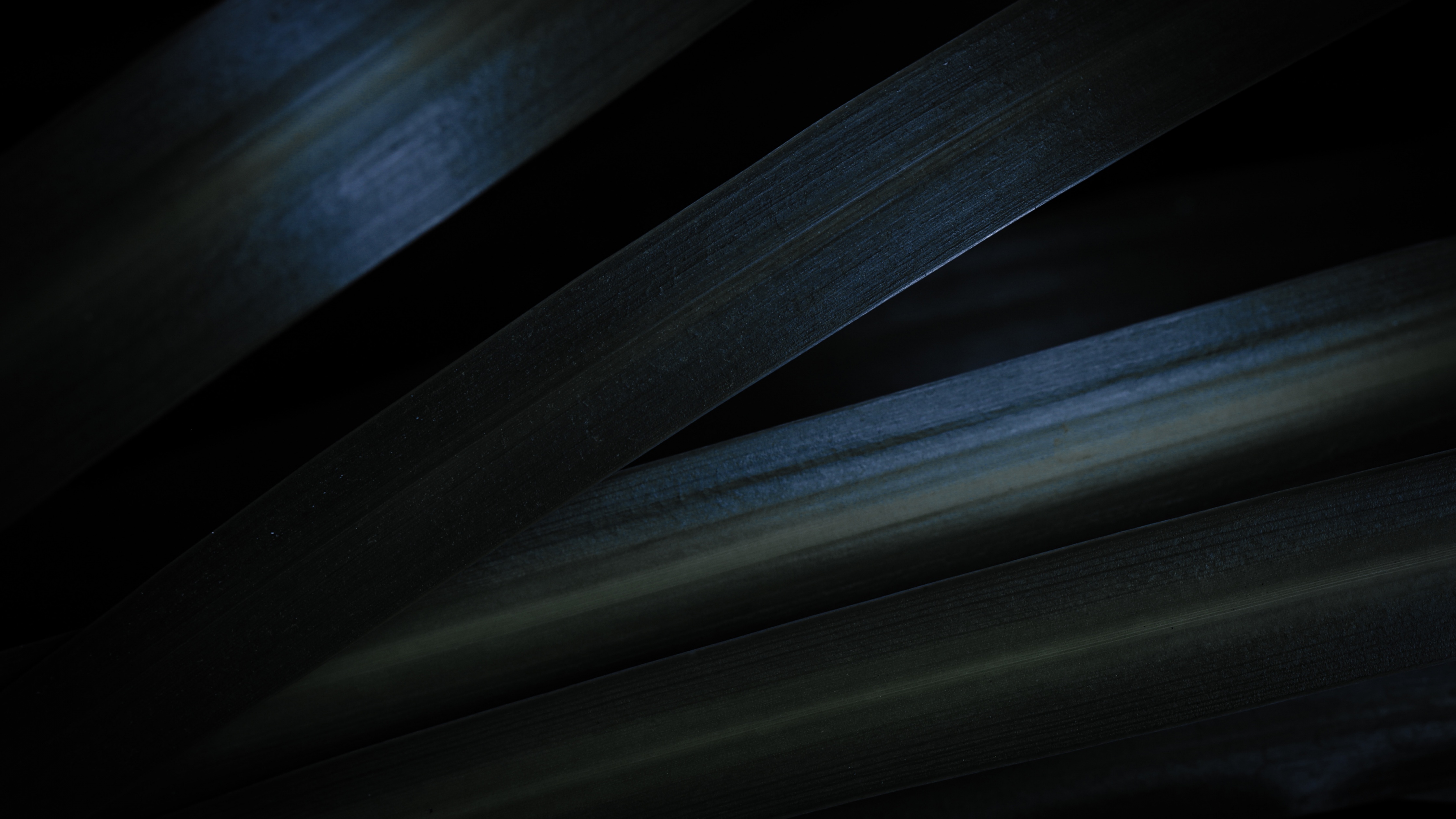 Grey Wallpaper 4K, Leaves, Dark