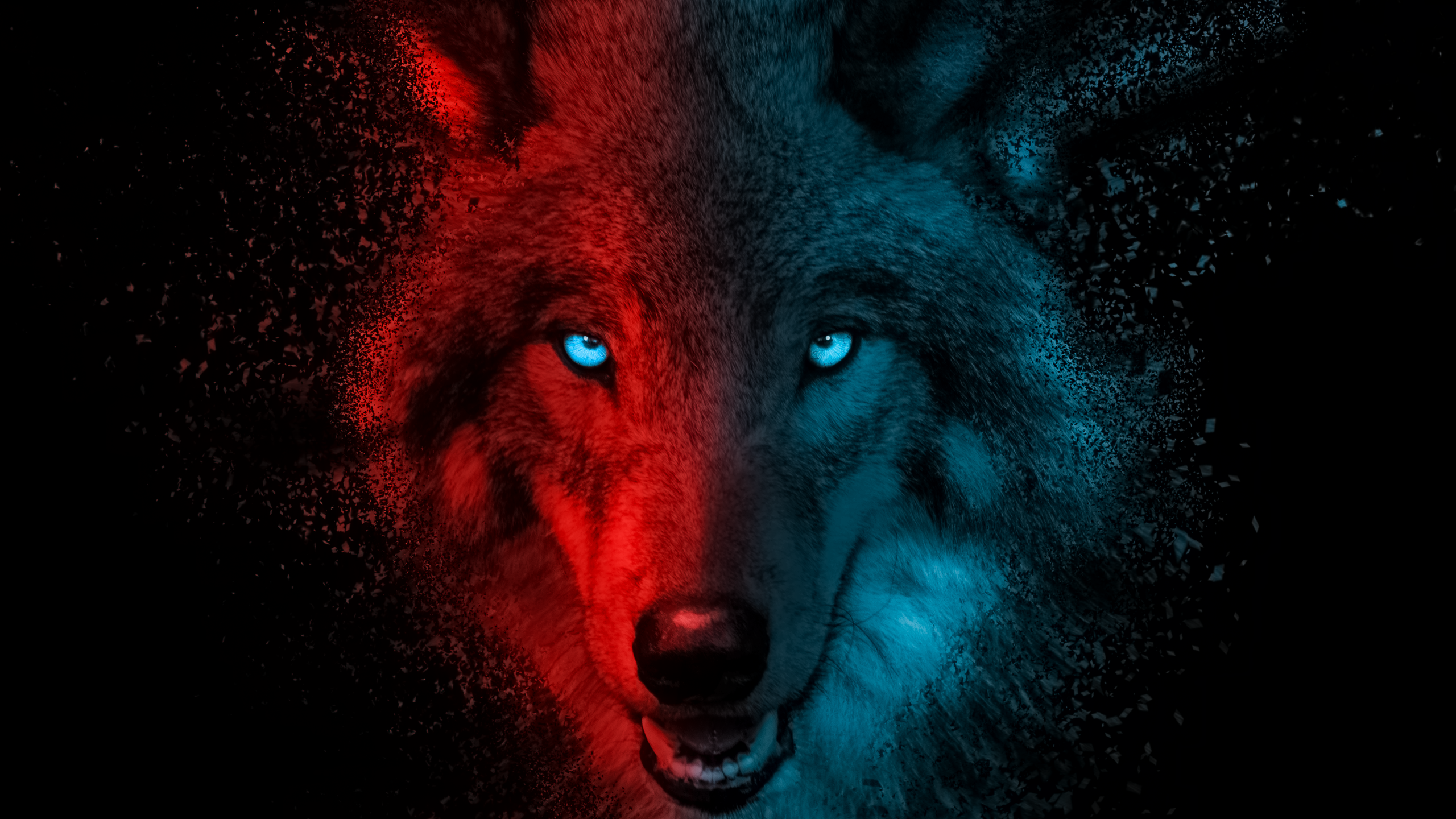 Wolf Wallpaper 4K, Scary, Dark background