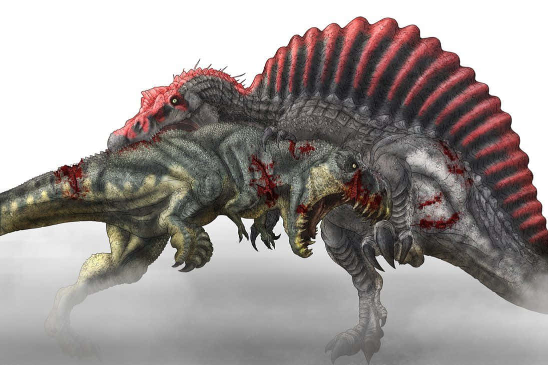 Download Spinosaurus Vs T Rex Wallpaper