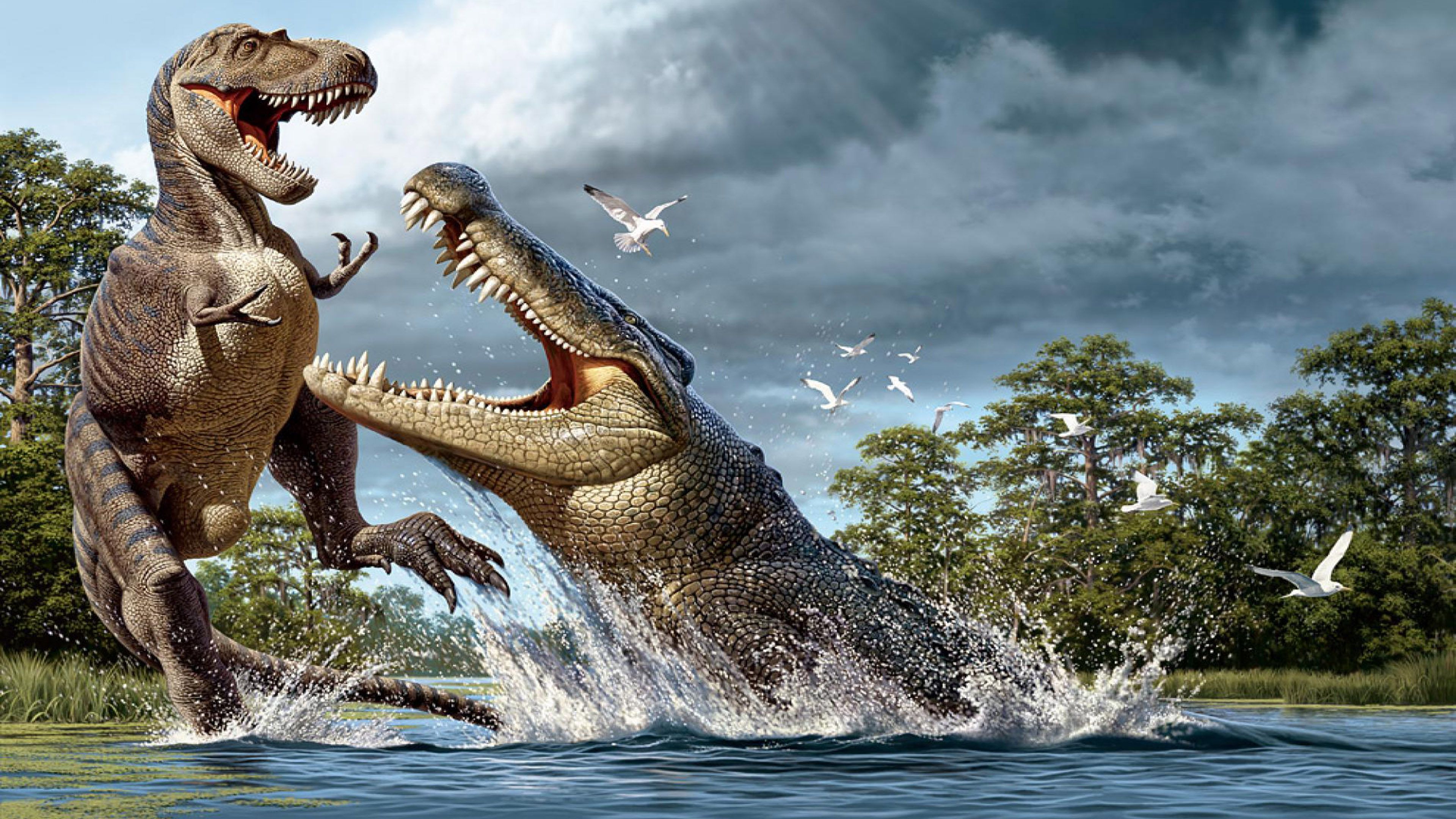 Crocodile Evolution Ultra HD Wallpaper