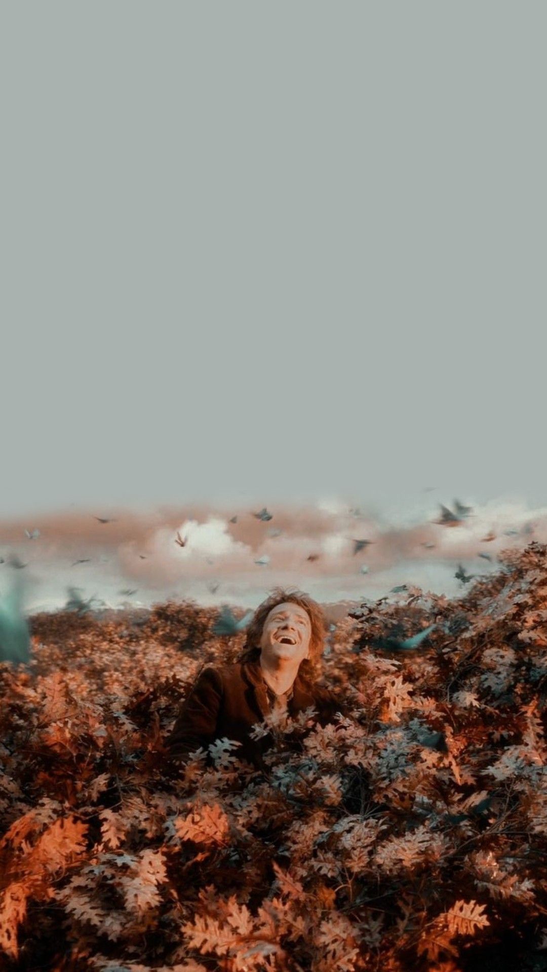 the hobbit wallpaper ⤸