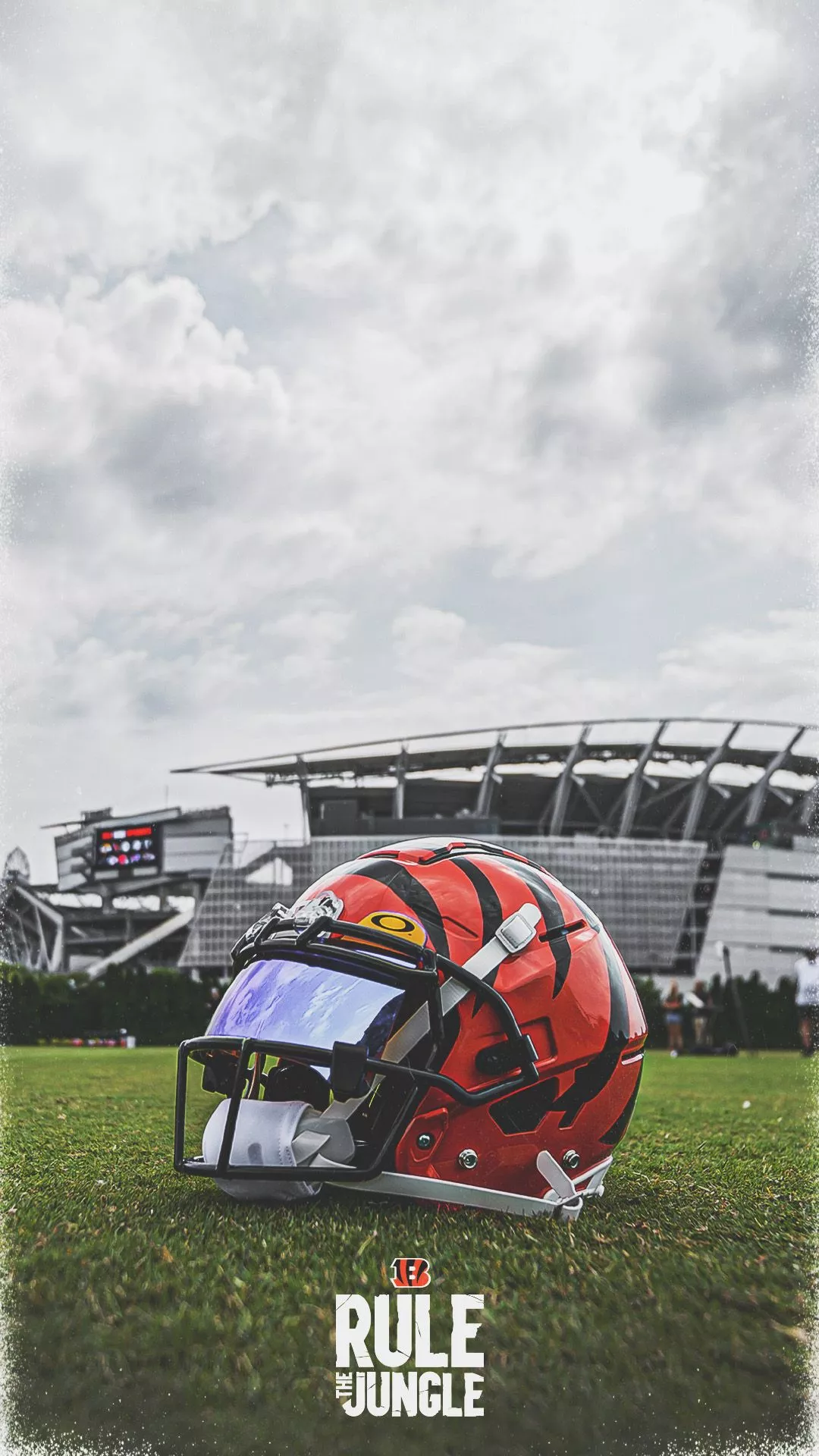 Cincinnati Bengals you need