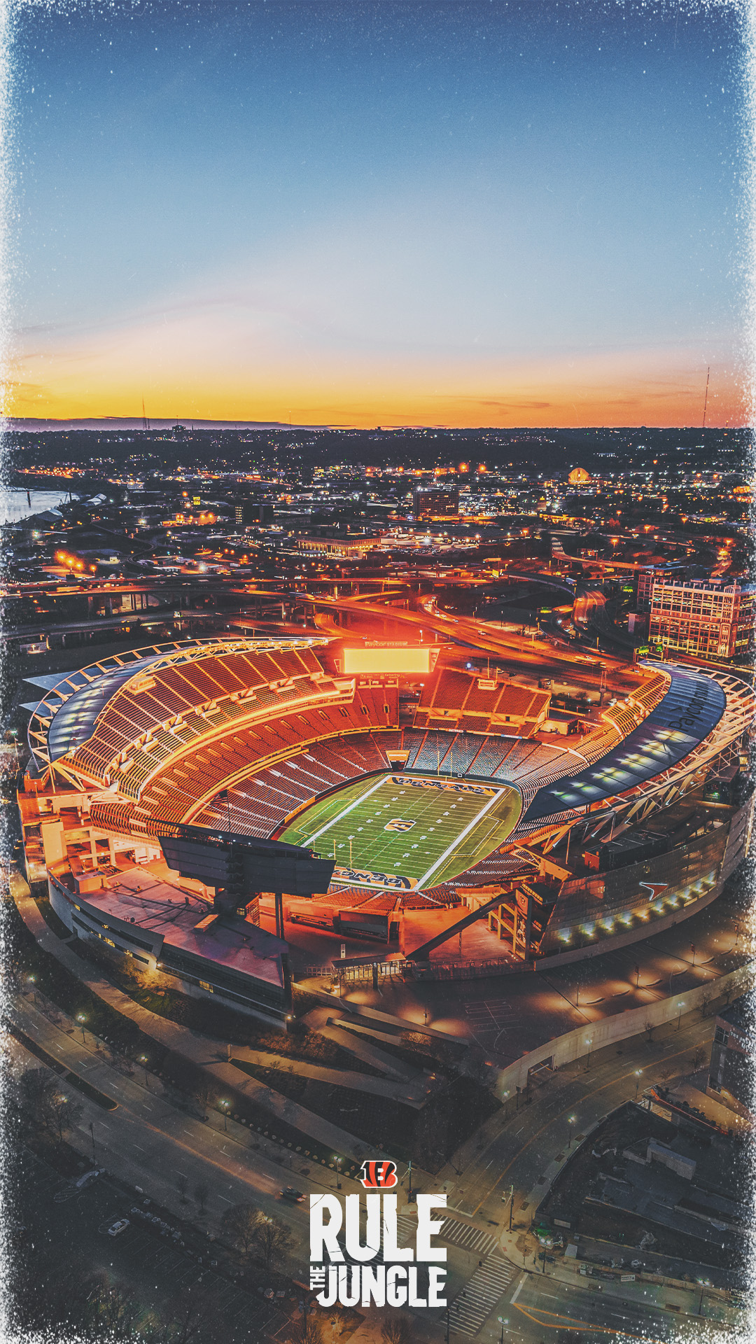 Cincinnati Bengals you need