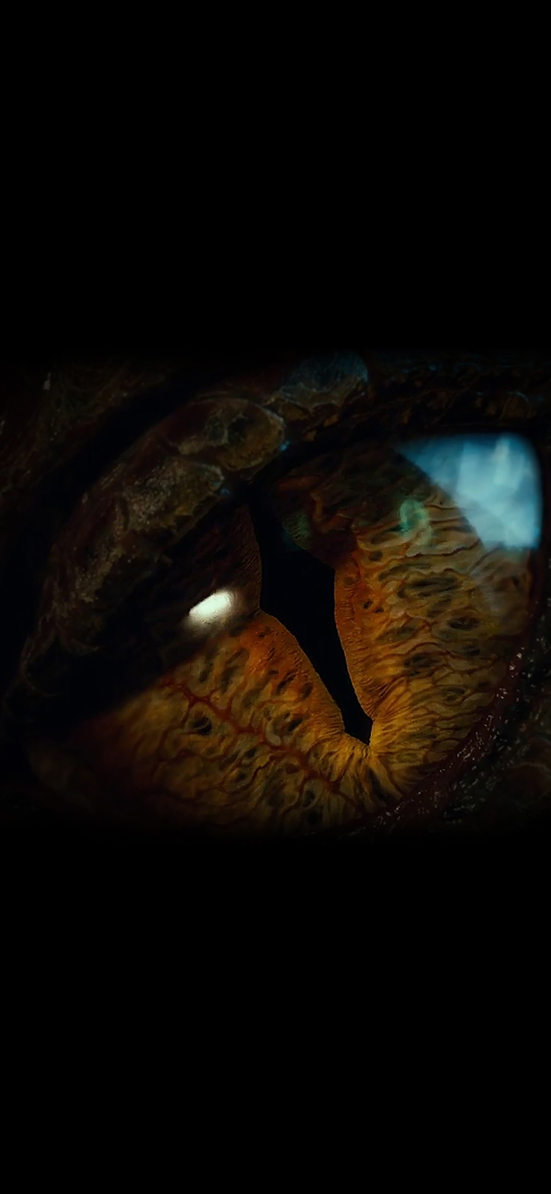 Eye Dragon Hobbit The Battle Five