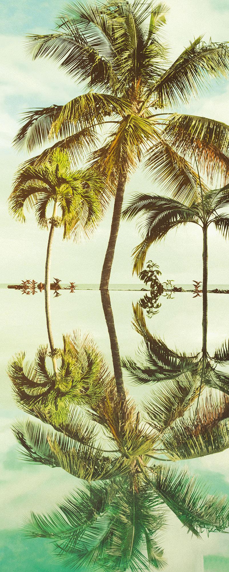 Mirror in the Palms Mural Wallpaper