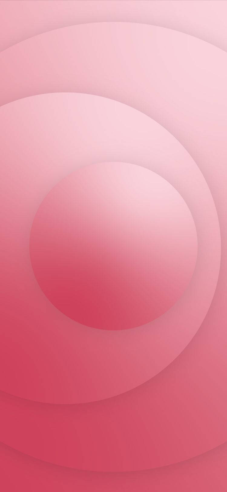 iPhone 14 Pro Pink Ovals Wallpaper