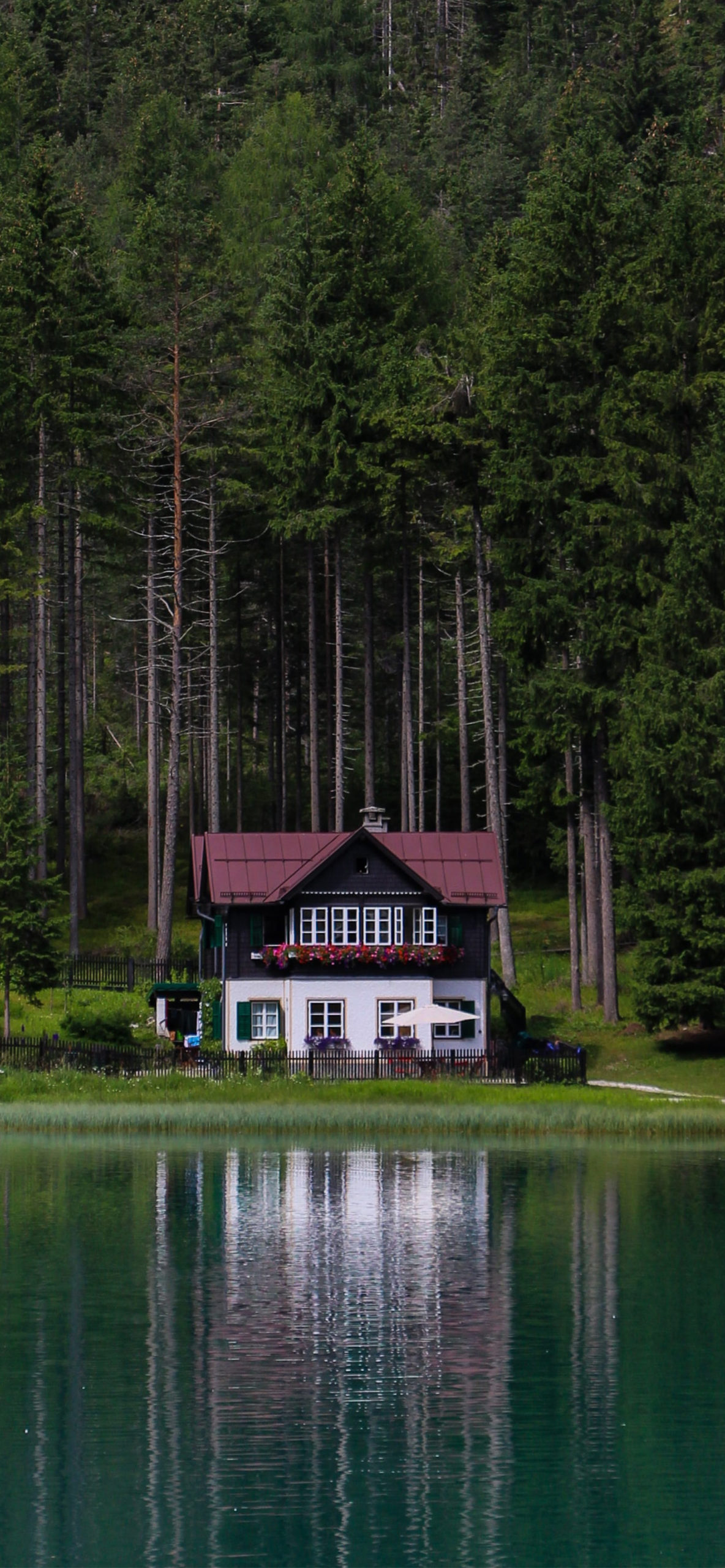 Cabin Wallpaper for iPhone 11, Pro Max