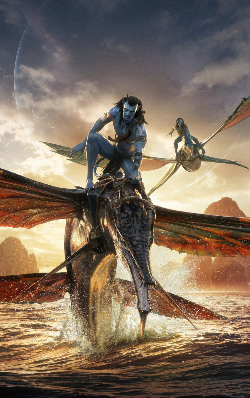 Download wallpaper 840x1336 avatar