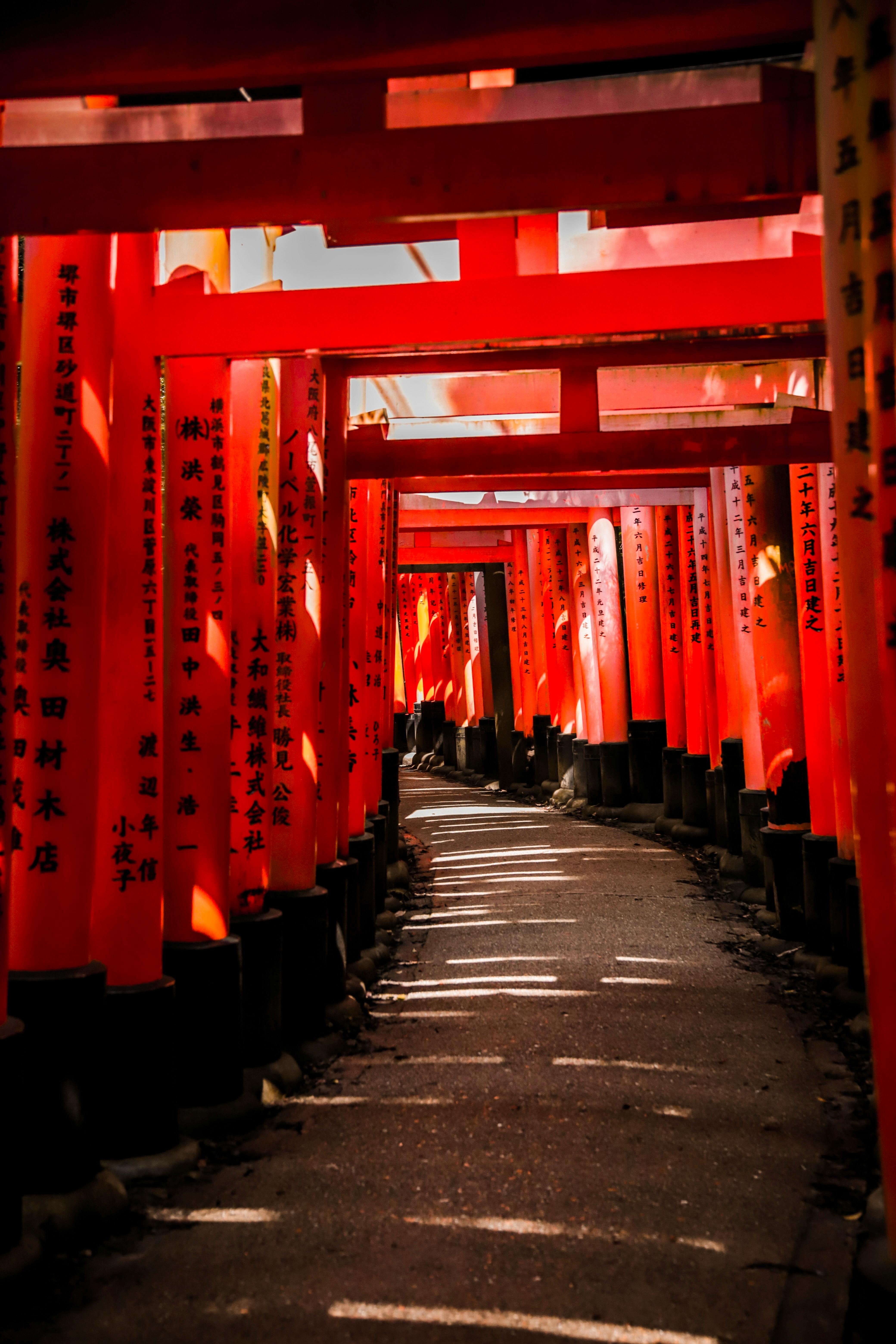 Japanese Torii Gate in Forest · Free