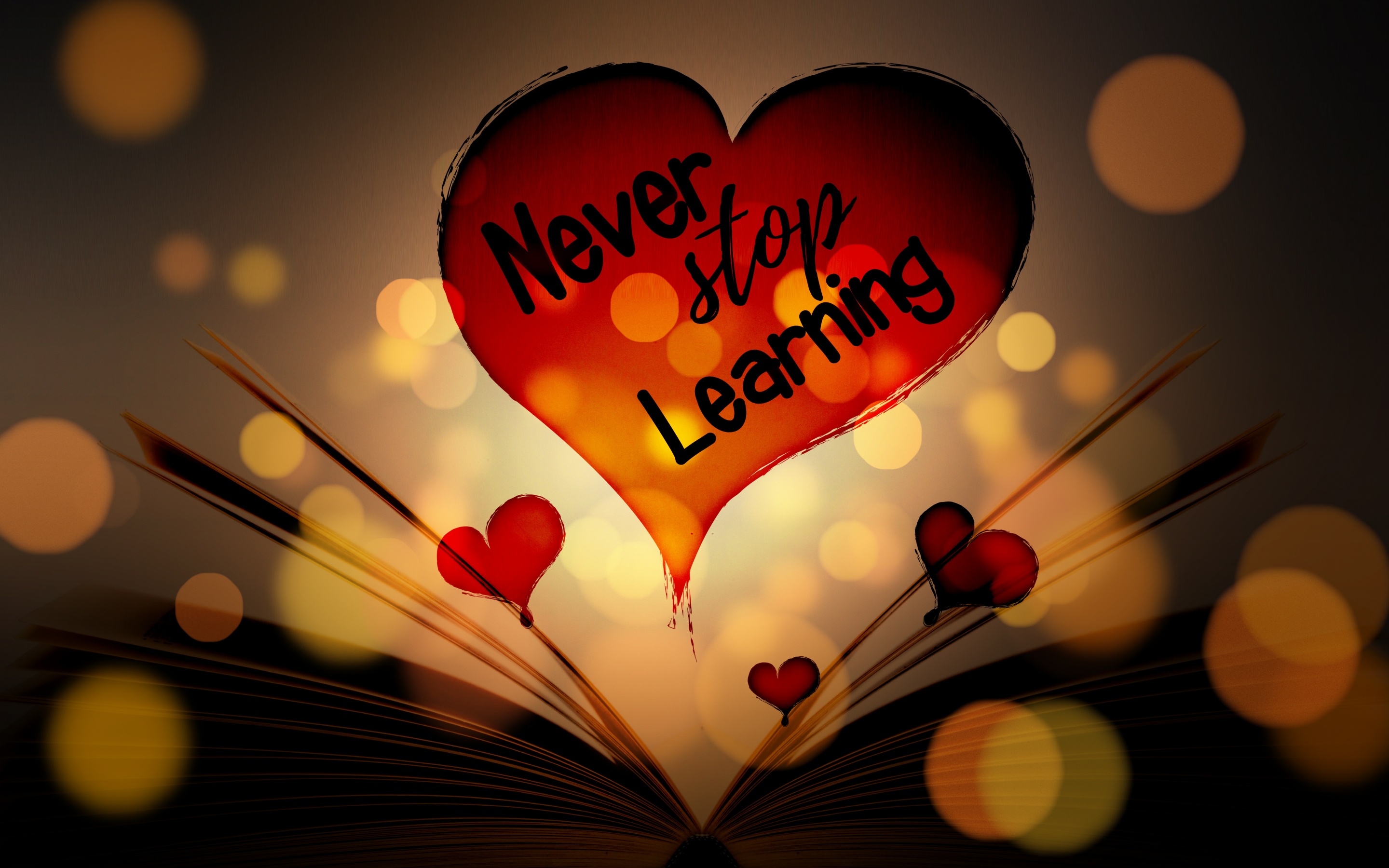 Never Stop Learning Wallpaper 4K, Red