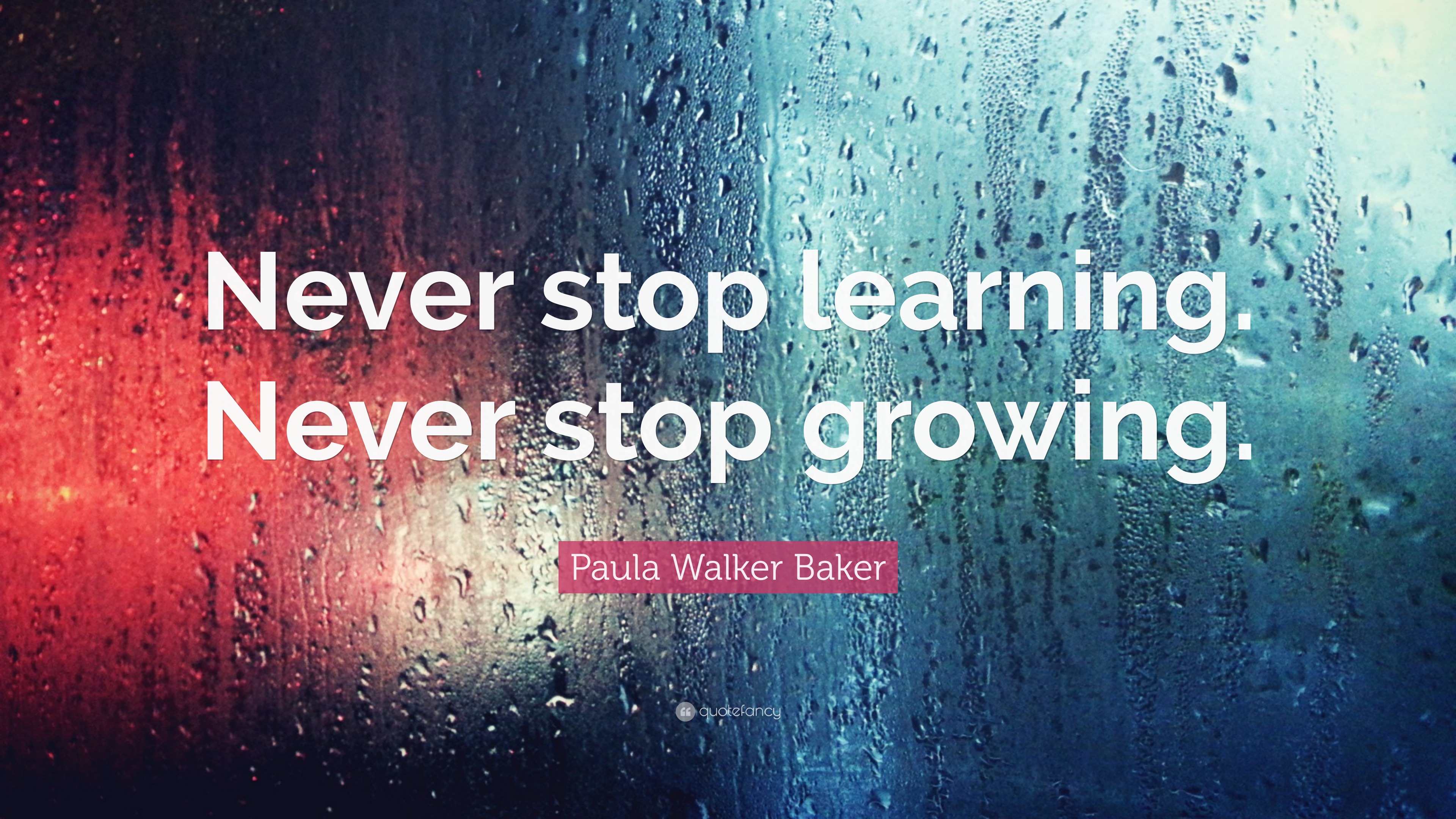 Paula Walker Baker Quote: “Never stop