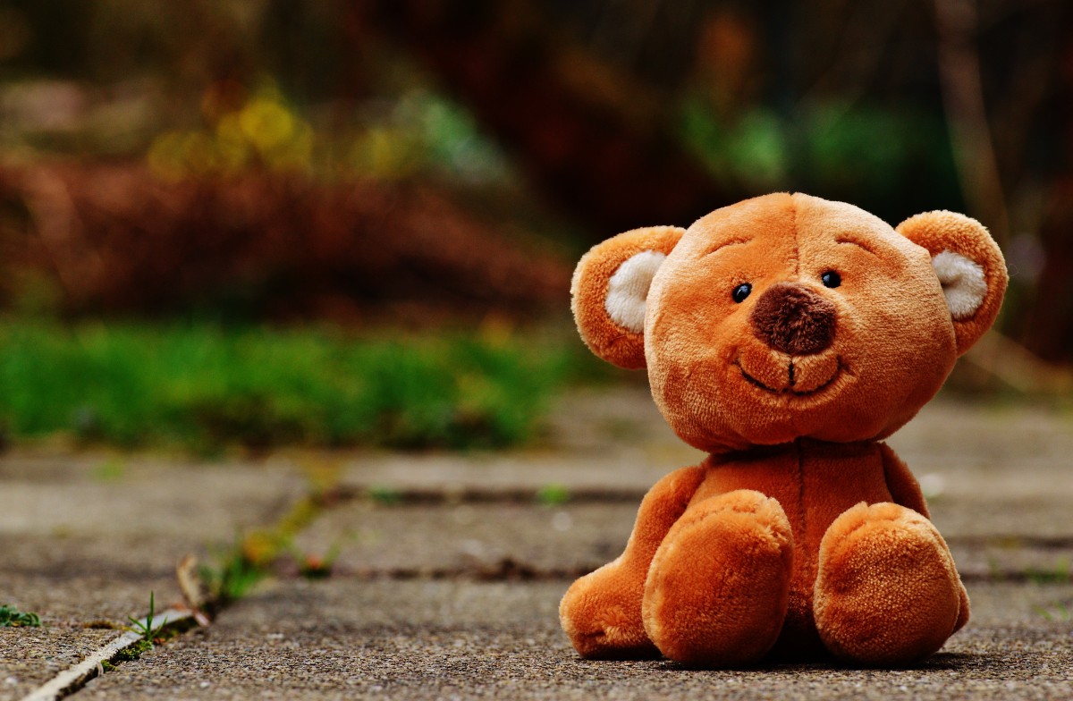 cute, mammal, brown bear, teddy bear