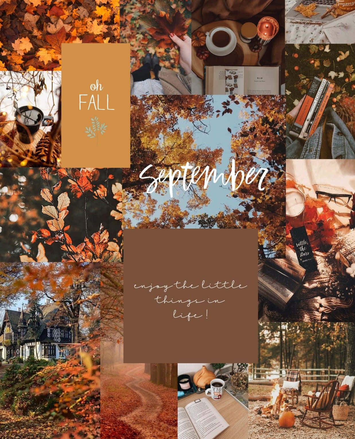 Download Enjoy the pictureque beauty of Fall with this scenic Fall collage desktop wallpaper. Wallpaper