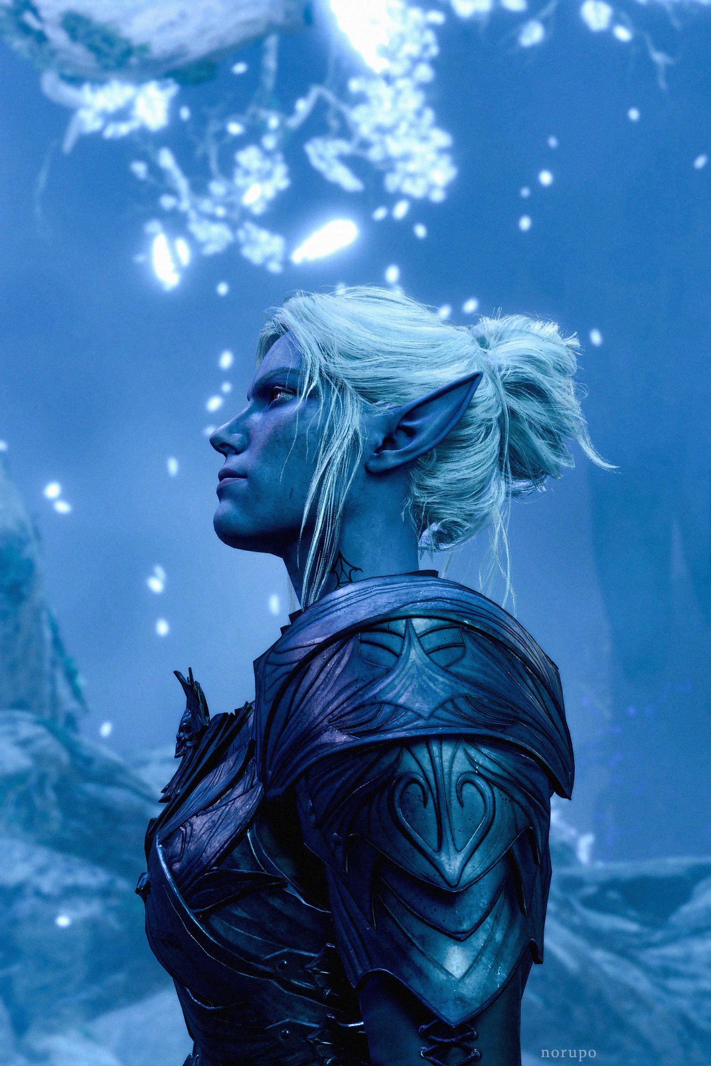 baldursgate3 #virtualphotography