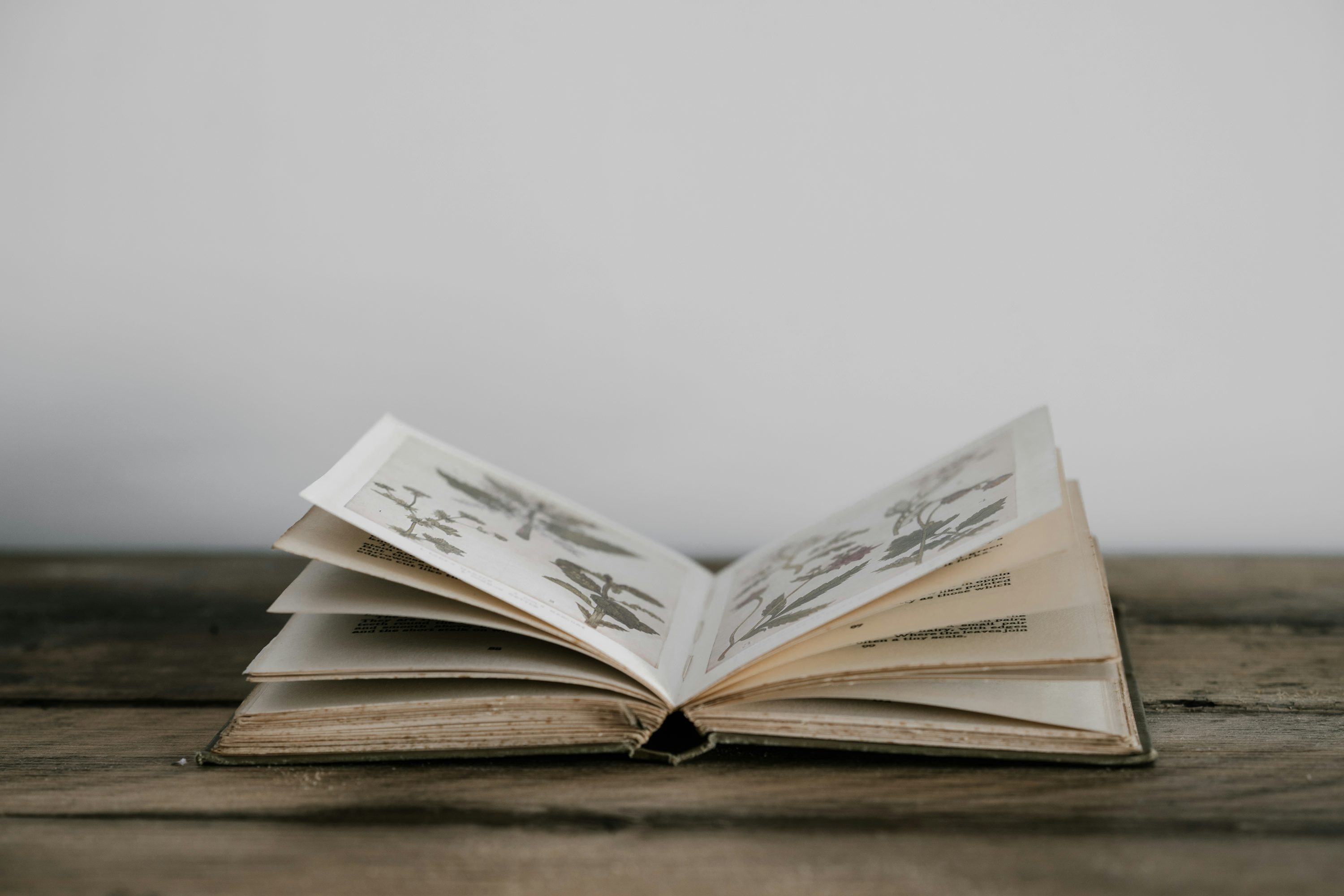 Minimal Book Picture. Download Free