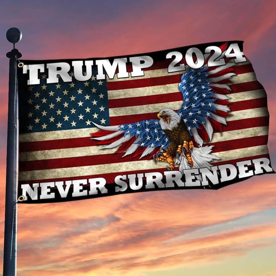 Amazon.com, Trump 2024 Grommet Flag