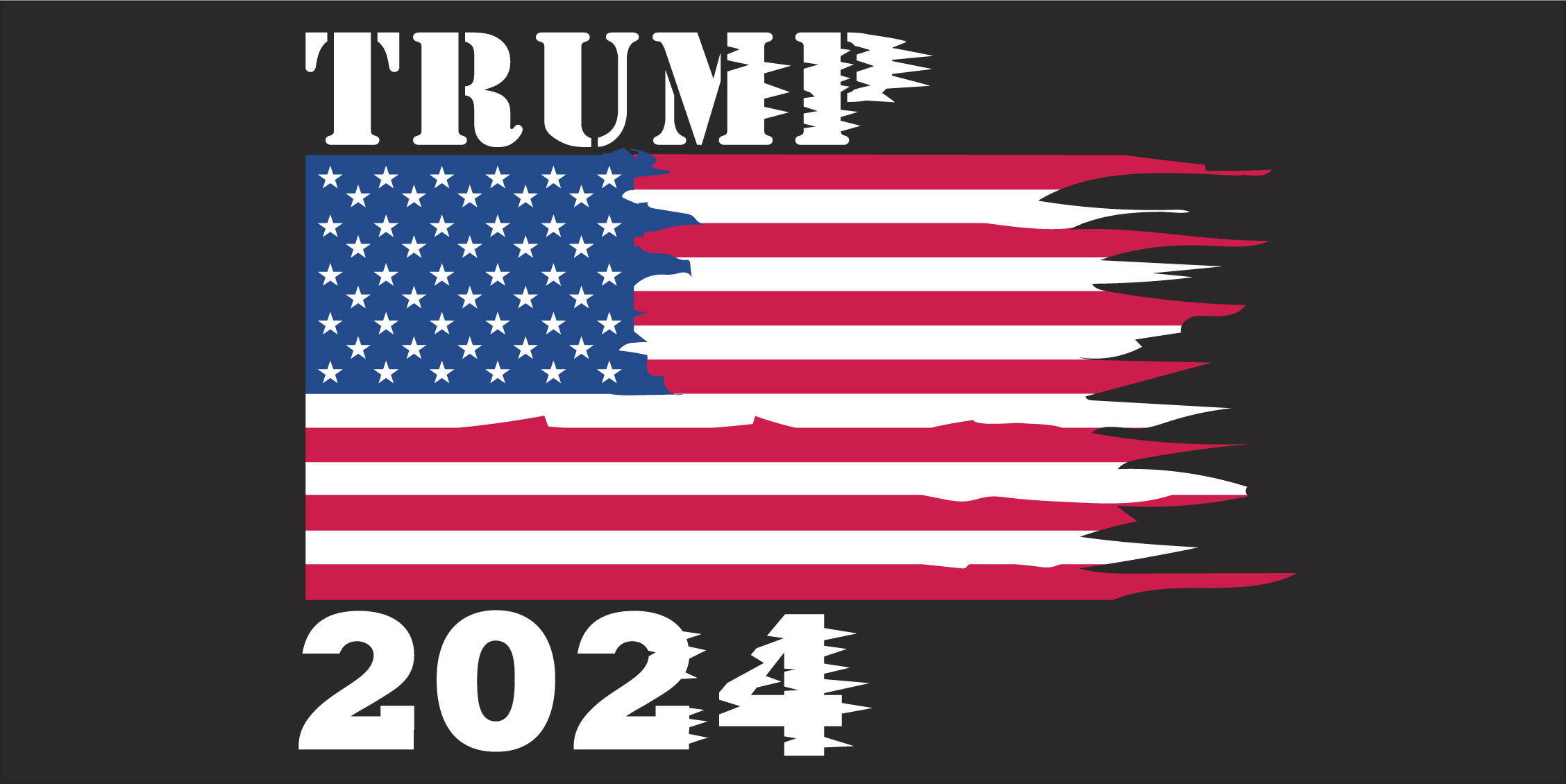 Trump 2024 USA Torn