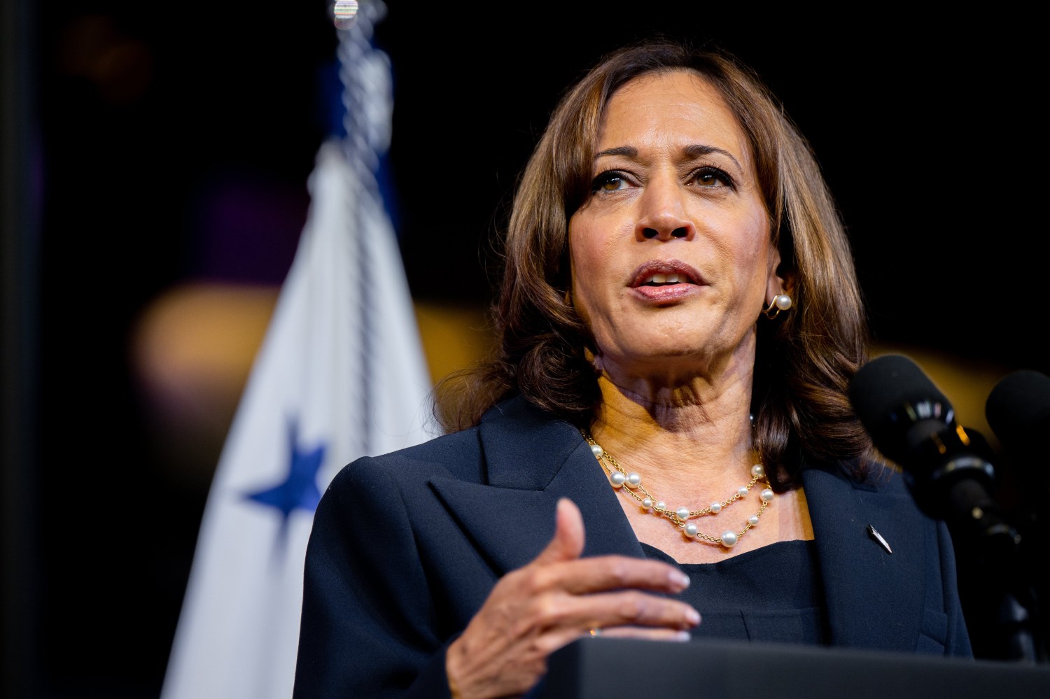 Biden's 2024 primary calendar may be