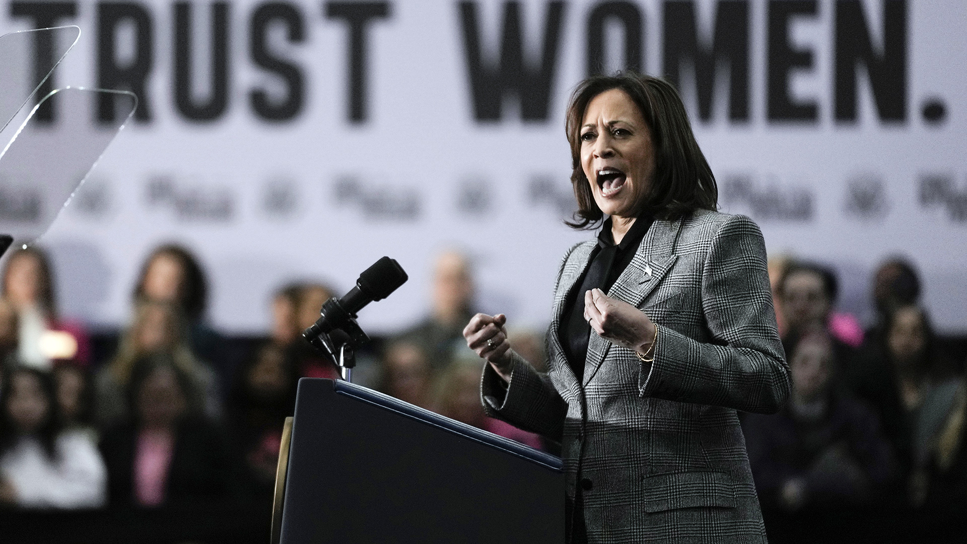 Harris targets Trump as she rallies